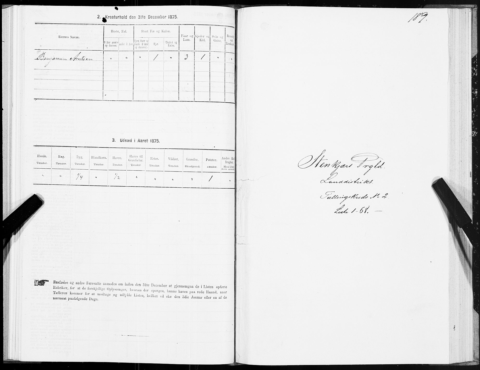 SAT, 1875 census for 1733L Steinkjer/Egge, 1875, p. 1189