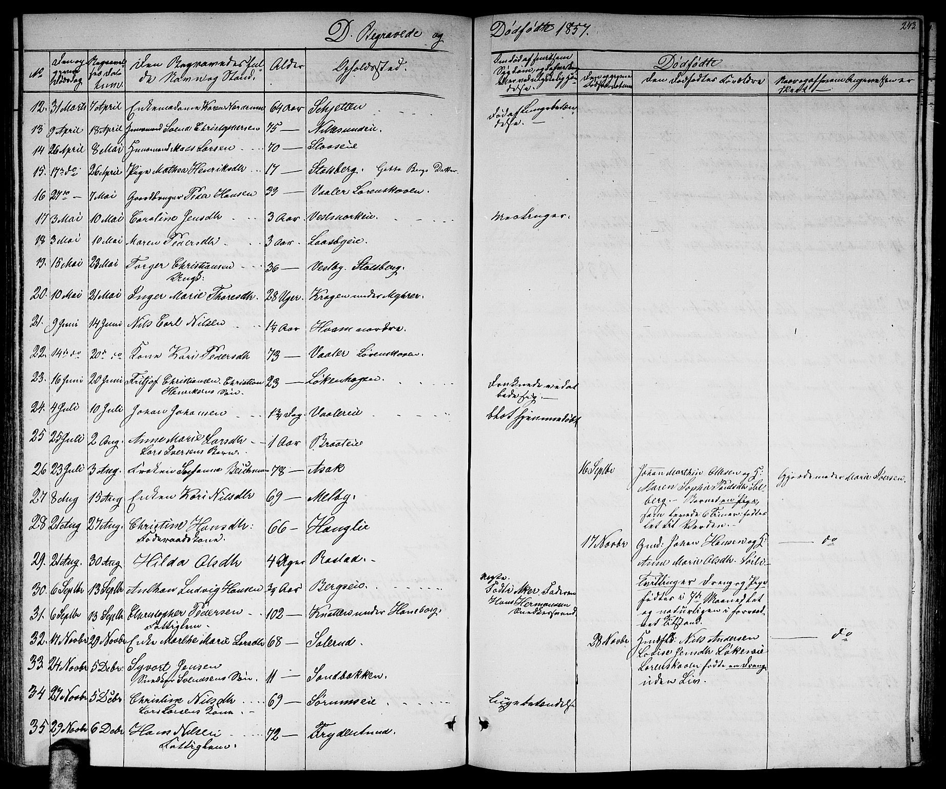 Skedsmo prestekontor Kirkebøker, AV/SAO-A-10033a/G/Ga/L0002: Parish register (copy) no. I 2, 1855-1872, p. 243