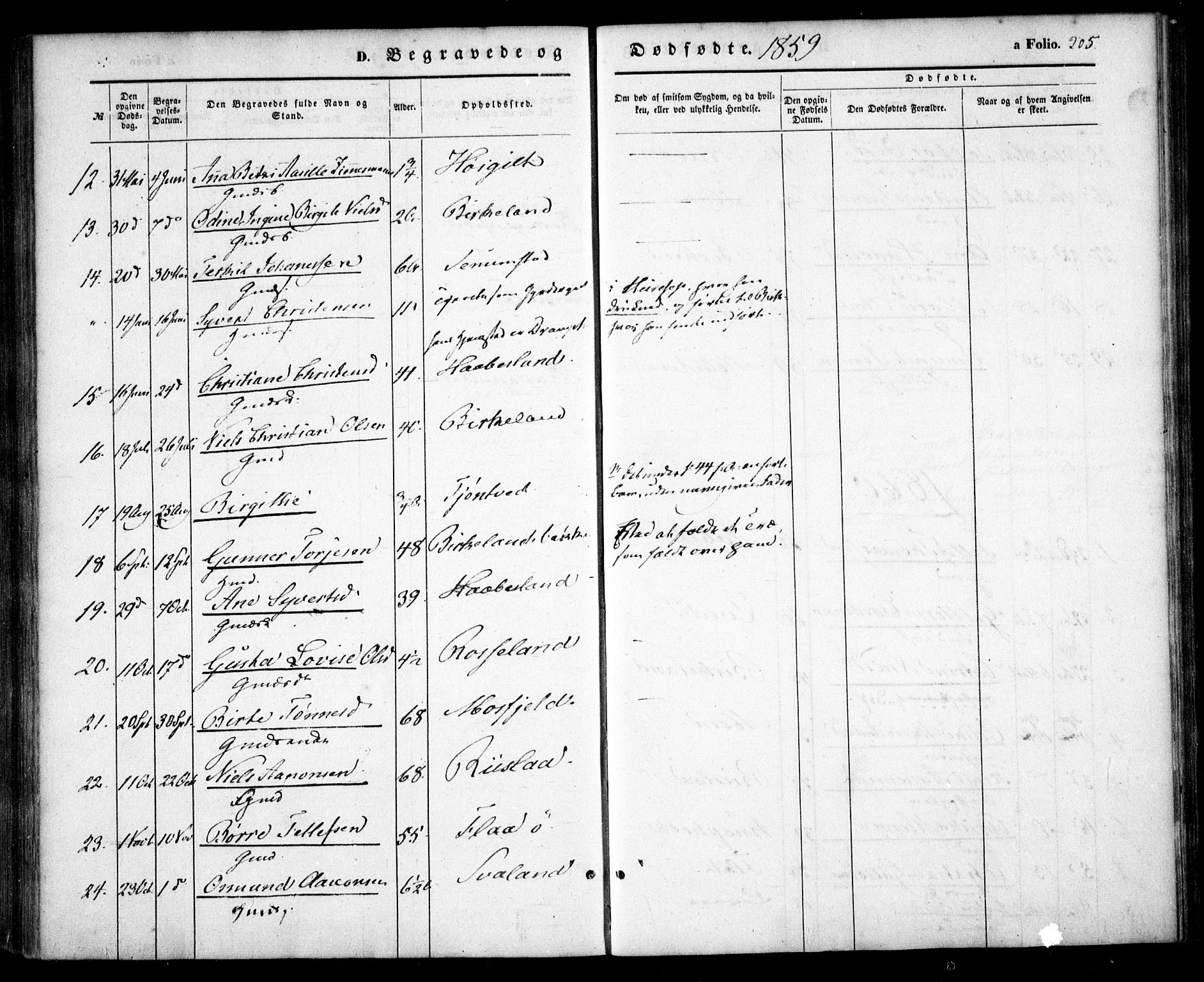 Birkenes sokneprestkontor, AV/SAK-1111-0004/F/Fa/L0003: Parish register (official) no. A 3, 1850-1866, p. 205