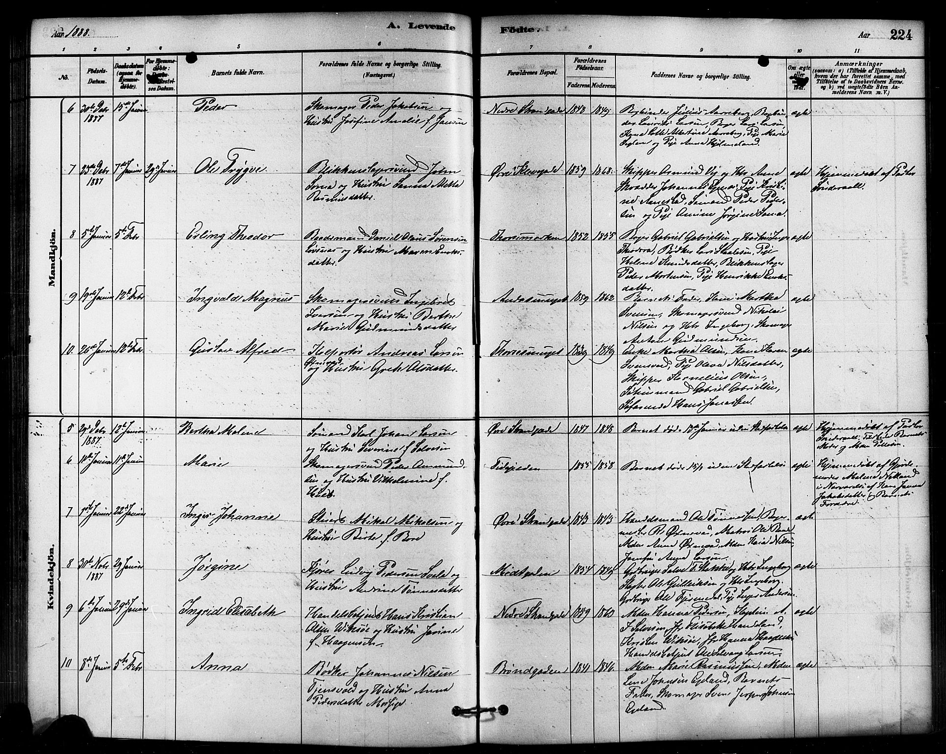 Domkirken sokneprestkontor, AV/SAST-A-101812/001/30/30BB/L0015: Parish register (copy) no. B 15, 1880-1891, p. 224