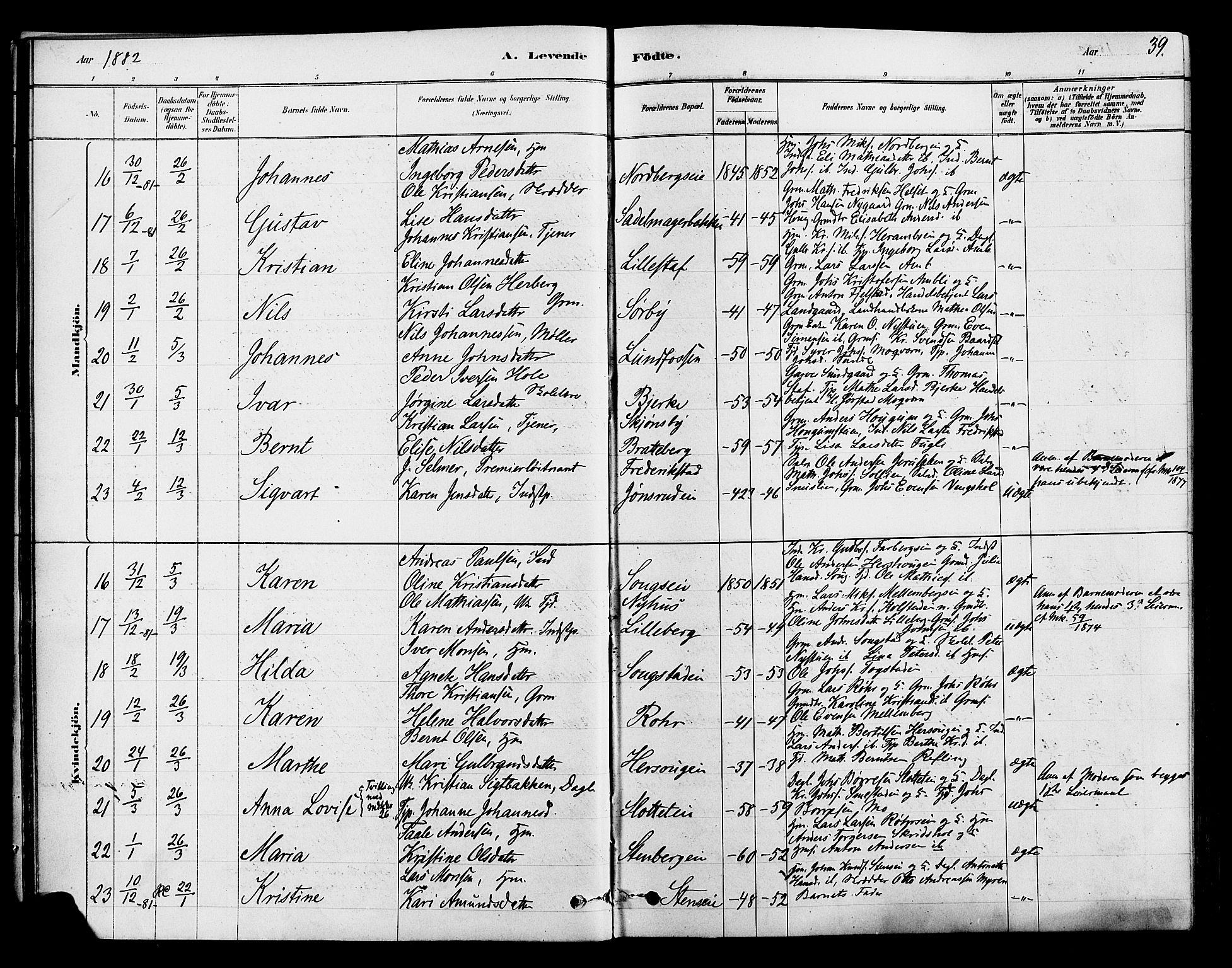 Ringsaker prestekontor, SAH/PREST-014/L/La/L0009: Parish register (copy) no. 9, 1879-1890, p. 39