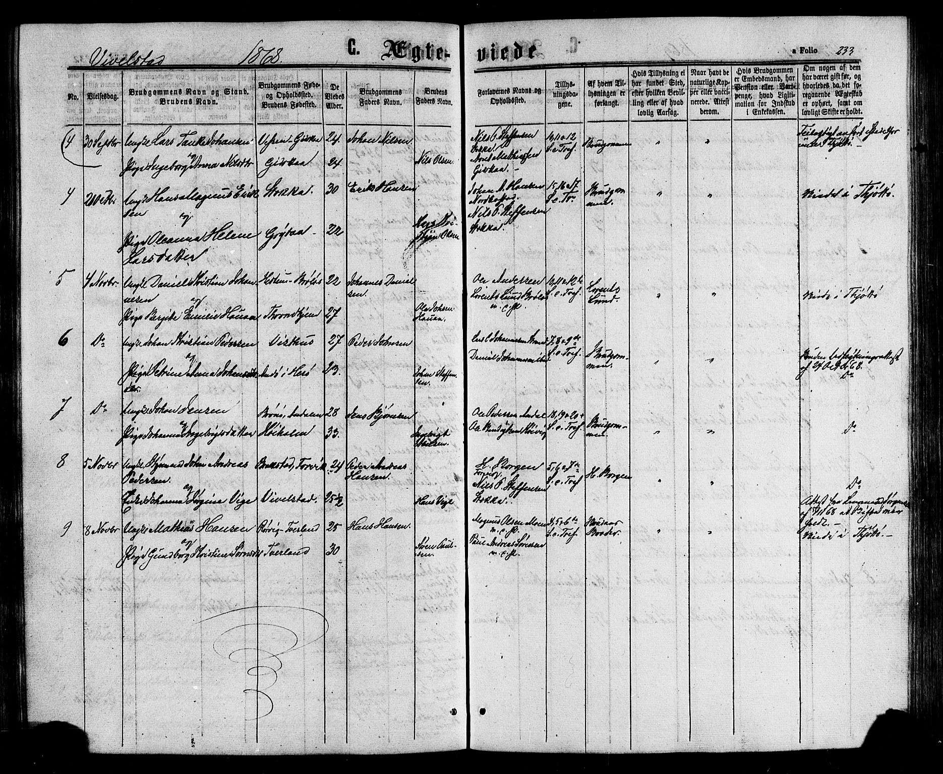 Ministerialprotokoller, klokkerbøker og fødselsregistre - Nordland, SAT/A-1459/817/L0262: Parish register (official) no. 817A03 /2, 1867-1877, p. 233
