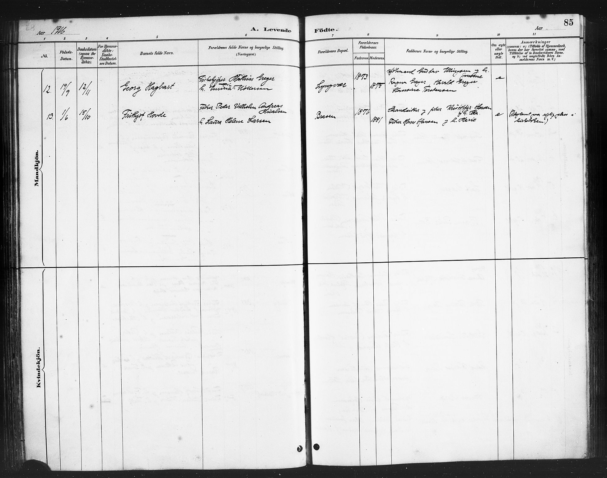 Ministerialprotokoller, klokkerbøker og fødselsregistre - Nordland, AV/SAT-A-1459/808/L0131: Parish register (copy) no. 808C02, 1879-1919, p. 85