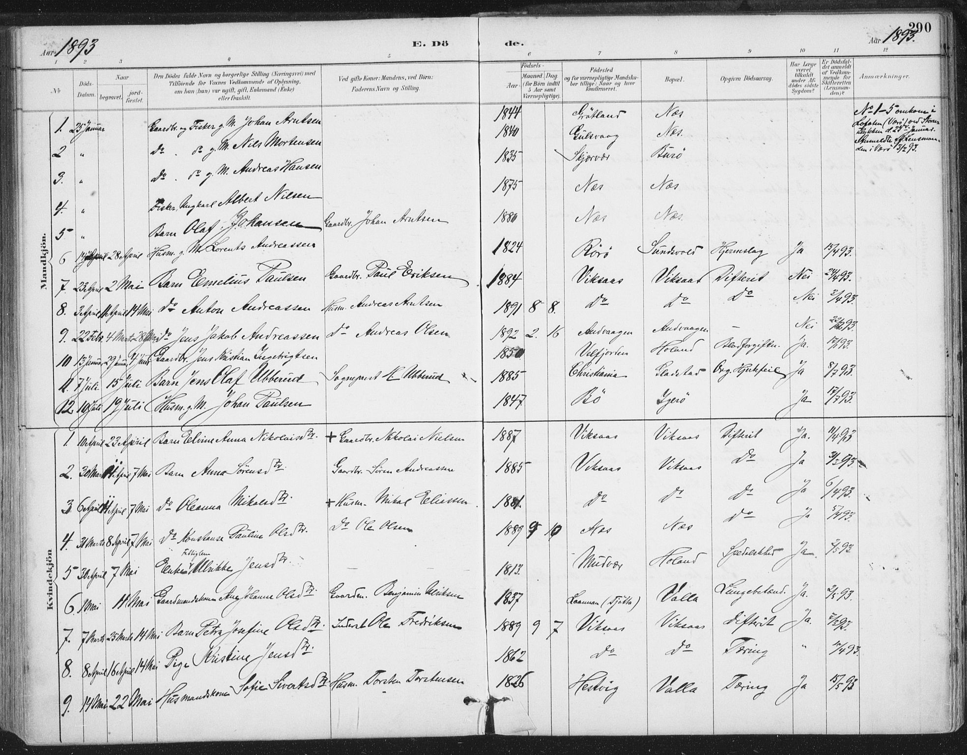 Ministerialprotokoller, klokkerbøker og fødselsregistre - Nordland, AV/SAT-A-1459/816/L0244: Parish register (official) no. 816A10, 1886-1903, p. 290