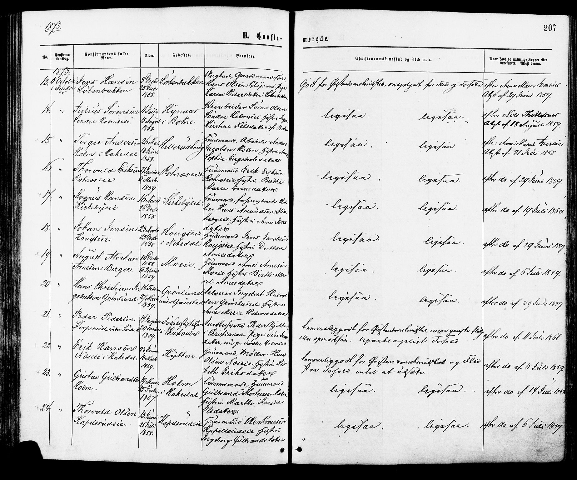 Nittedal prestekontor Kirkebøker, AV/SAO-A-10365a/F/Fa/L0006: Parish register (official) no. I 6, 1863-1878, p. 207