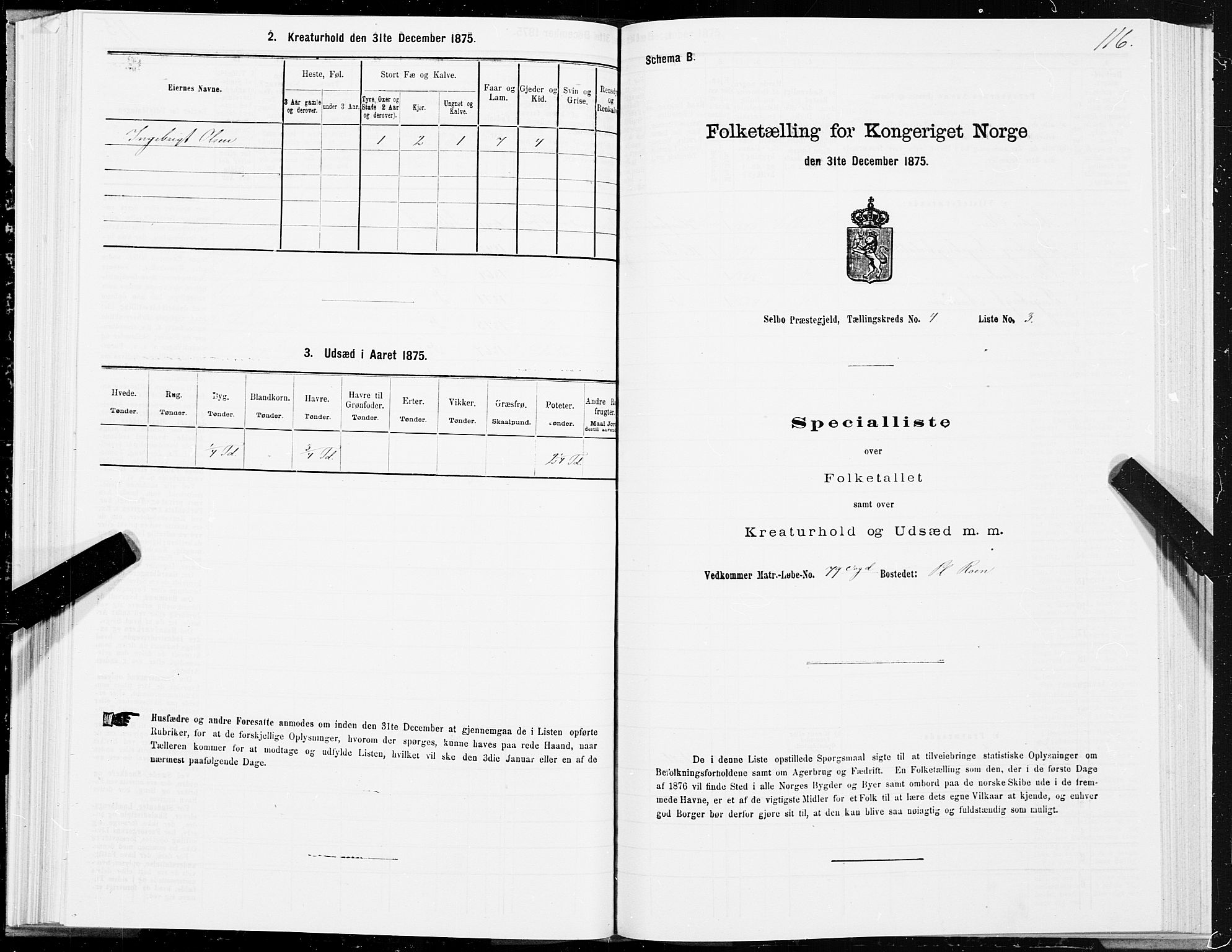 SAT, 1875 census for 1664P Selbu, 1875, p. 2116