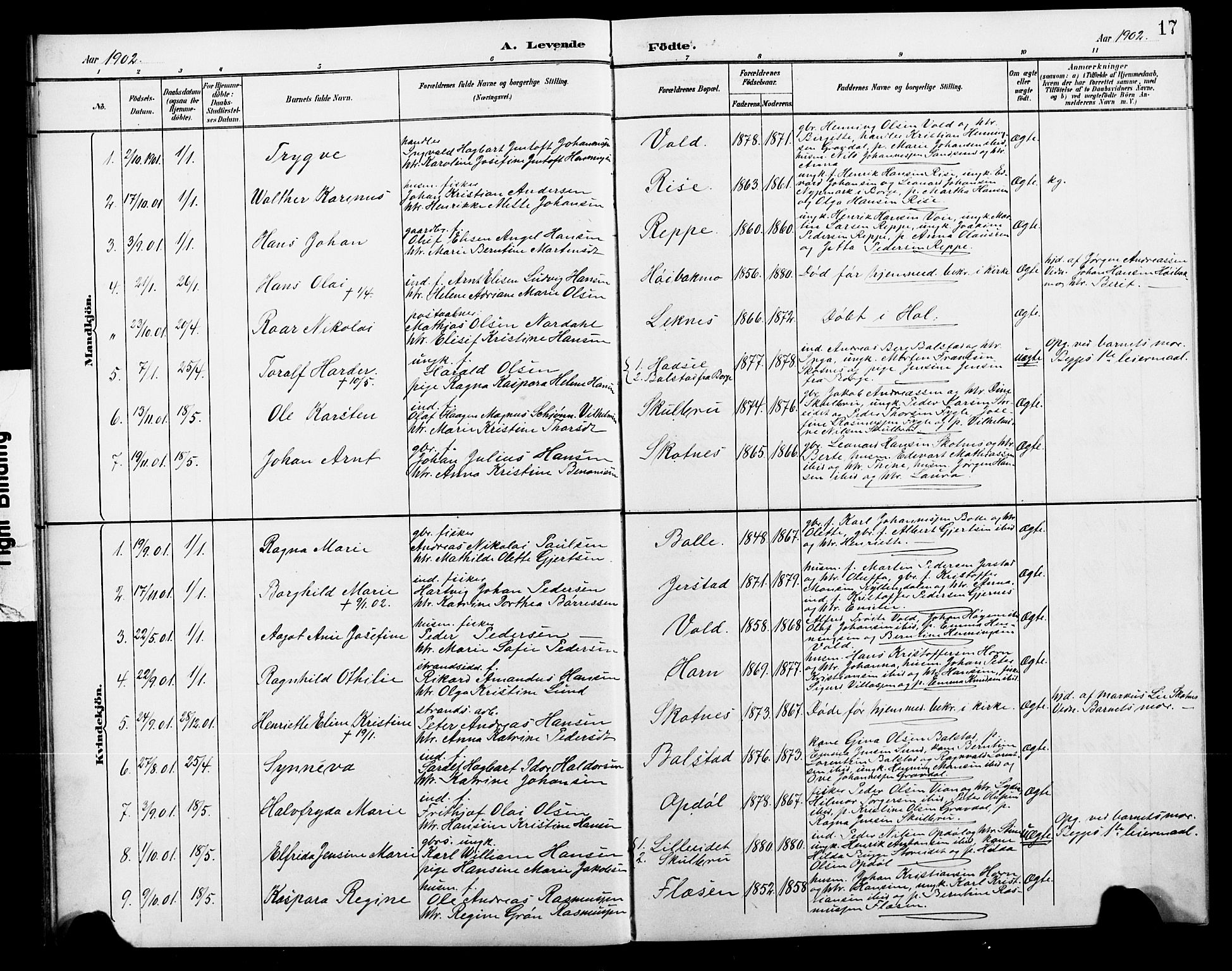 Ministerialprotokoller, klokkerbøker og fødselsregistre - Nordland, SAT/A-1459/881/L1168: Parish register (copy) no. 881C05, 1900-1911, p. 17
