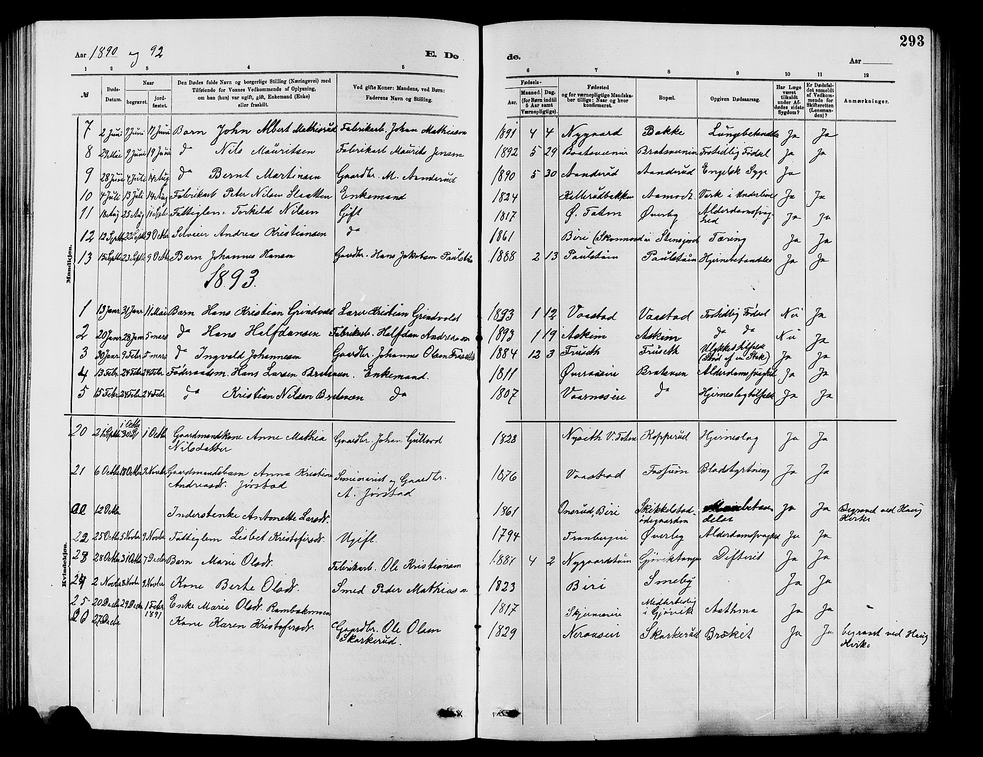 Vardal prestekontor, SAH/PREST-100/H/Ha/Hab/L0007: Parish register (copy) no. 7 /1, 1881-1895, p. 293