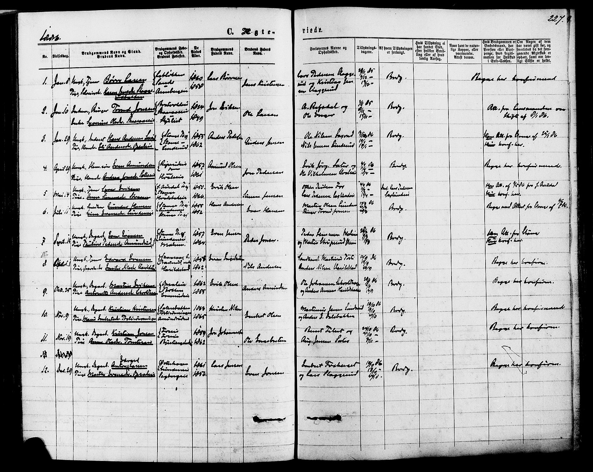 Romedal prestekontor, SAH/PREST-004/K/L0006: Parish register (official) no. 6, 1866-1886, p. 227