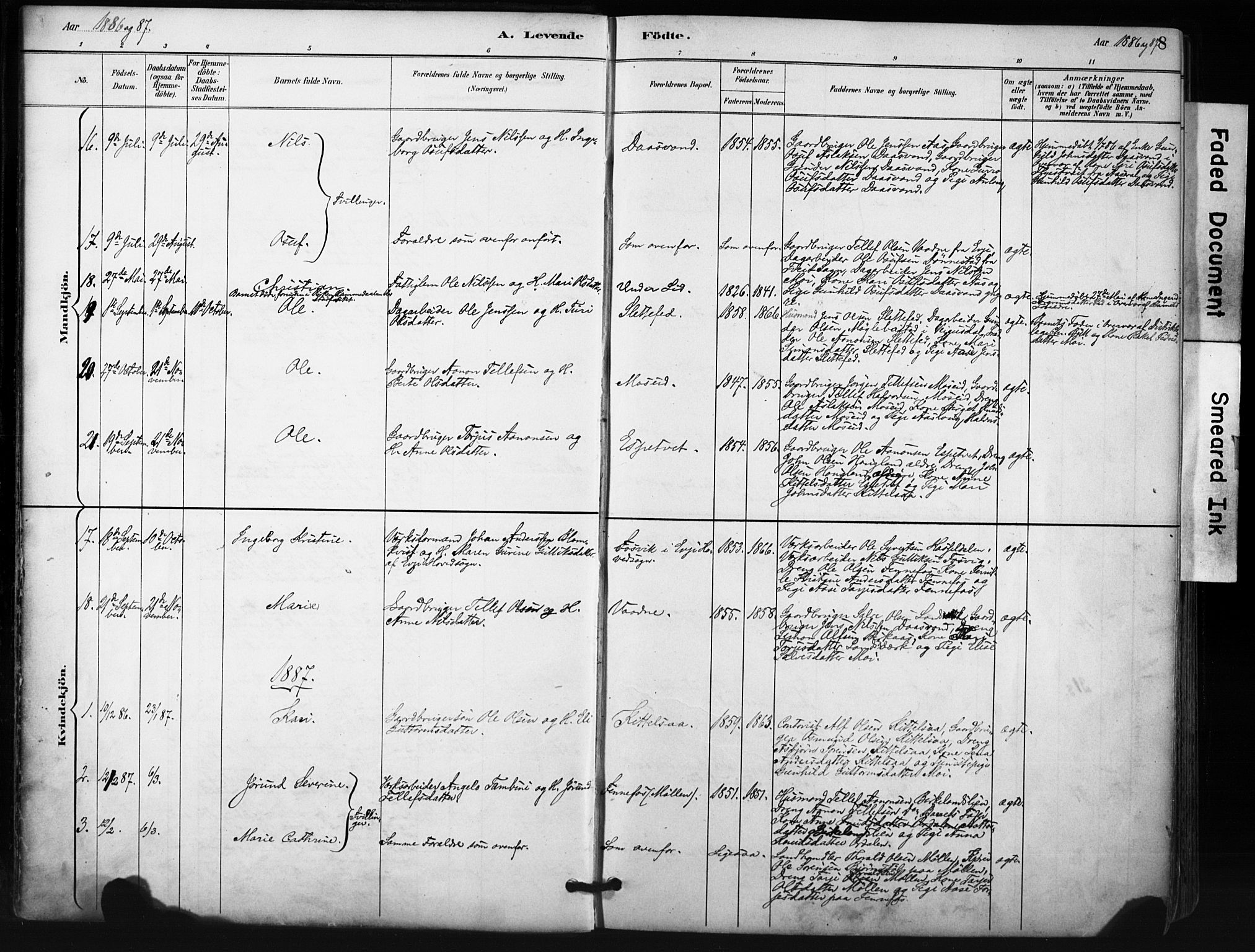 Evje sokneprestkontor, SAK/1111-0008/F/Fa/Fab/L0003: Parish register (official) no. A 3, 1884-1909, p. 8