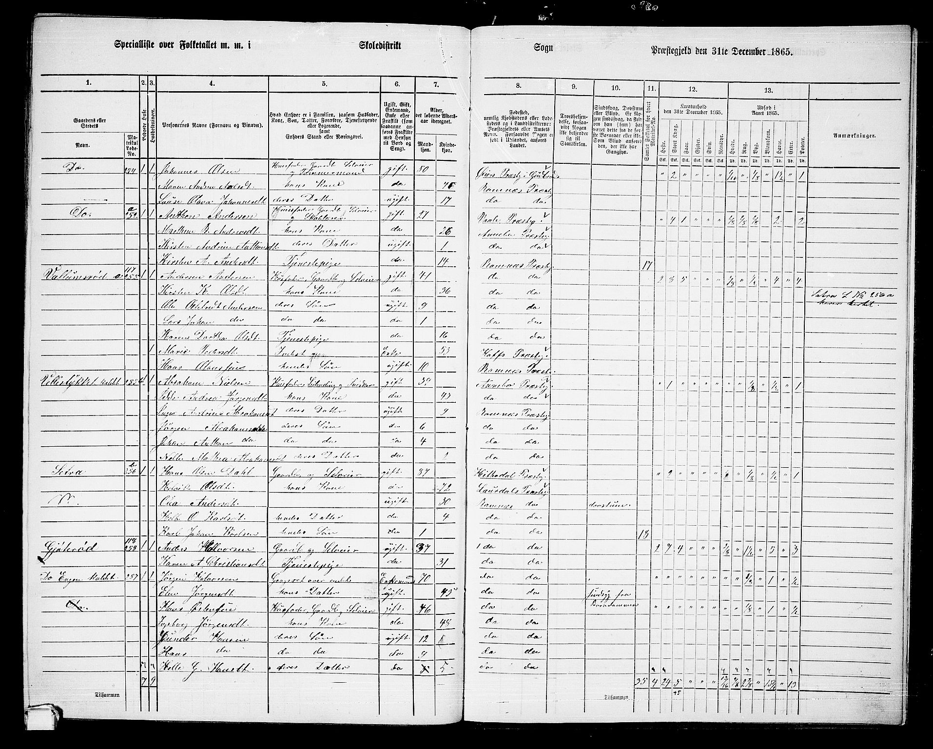 RA, 1865 census for Ramnes, 1865, p. 123