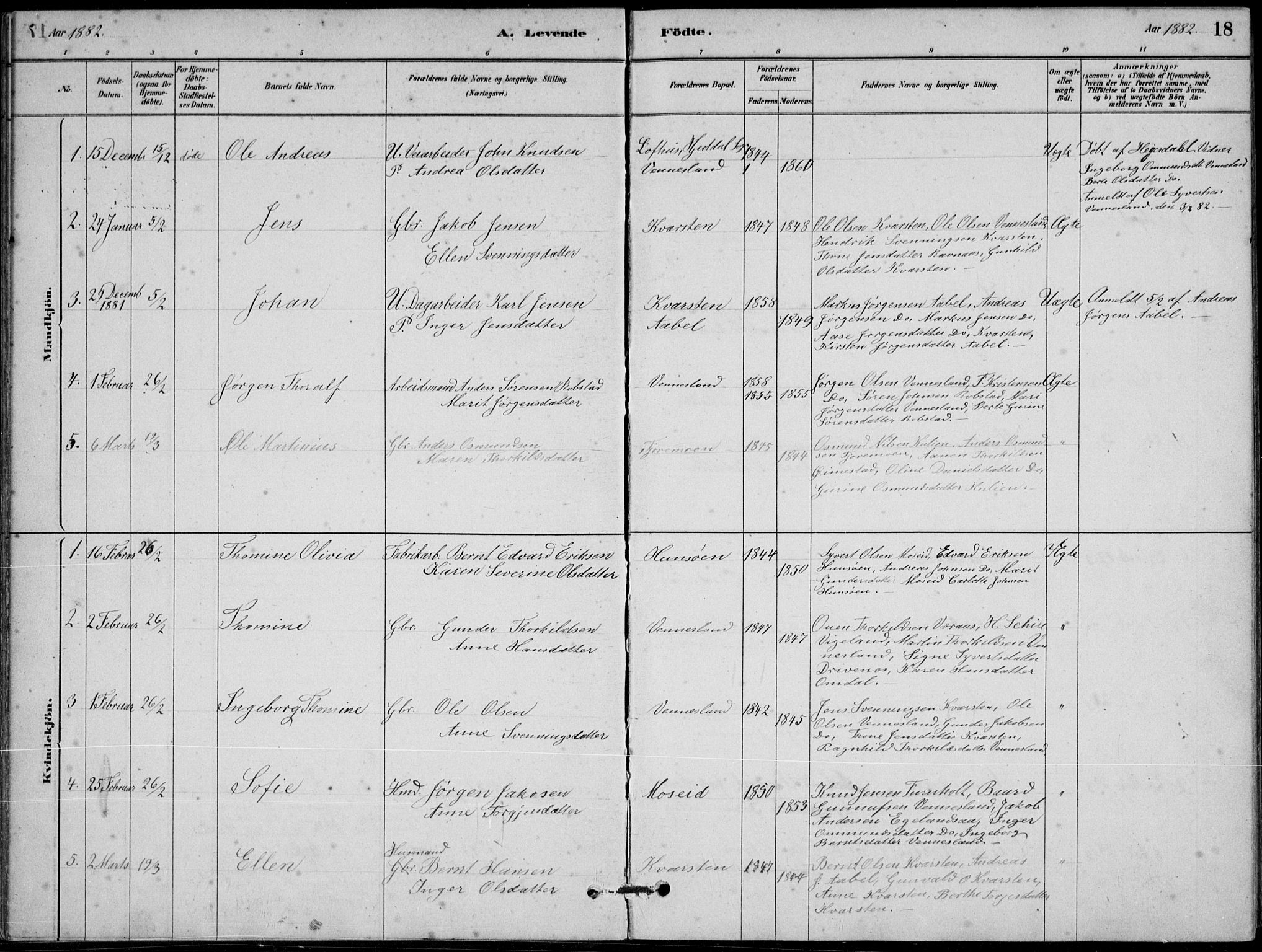 Vennesla sokneprestkontor, AV/SAK-1111-0045/Fb/Fbb/L0003: Parish register (copy) no. B 3, 1879-1893, p. 18