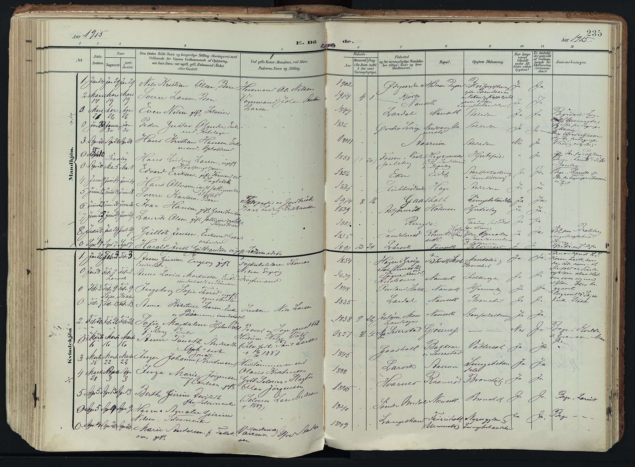 Hedrum kirkebøker, SAKO/A-344/F/Fa/L0010: Parish register (official) no. I 10, 1904-1918, p. 235