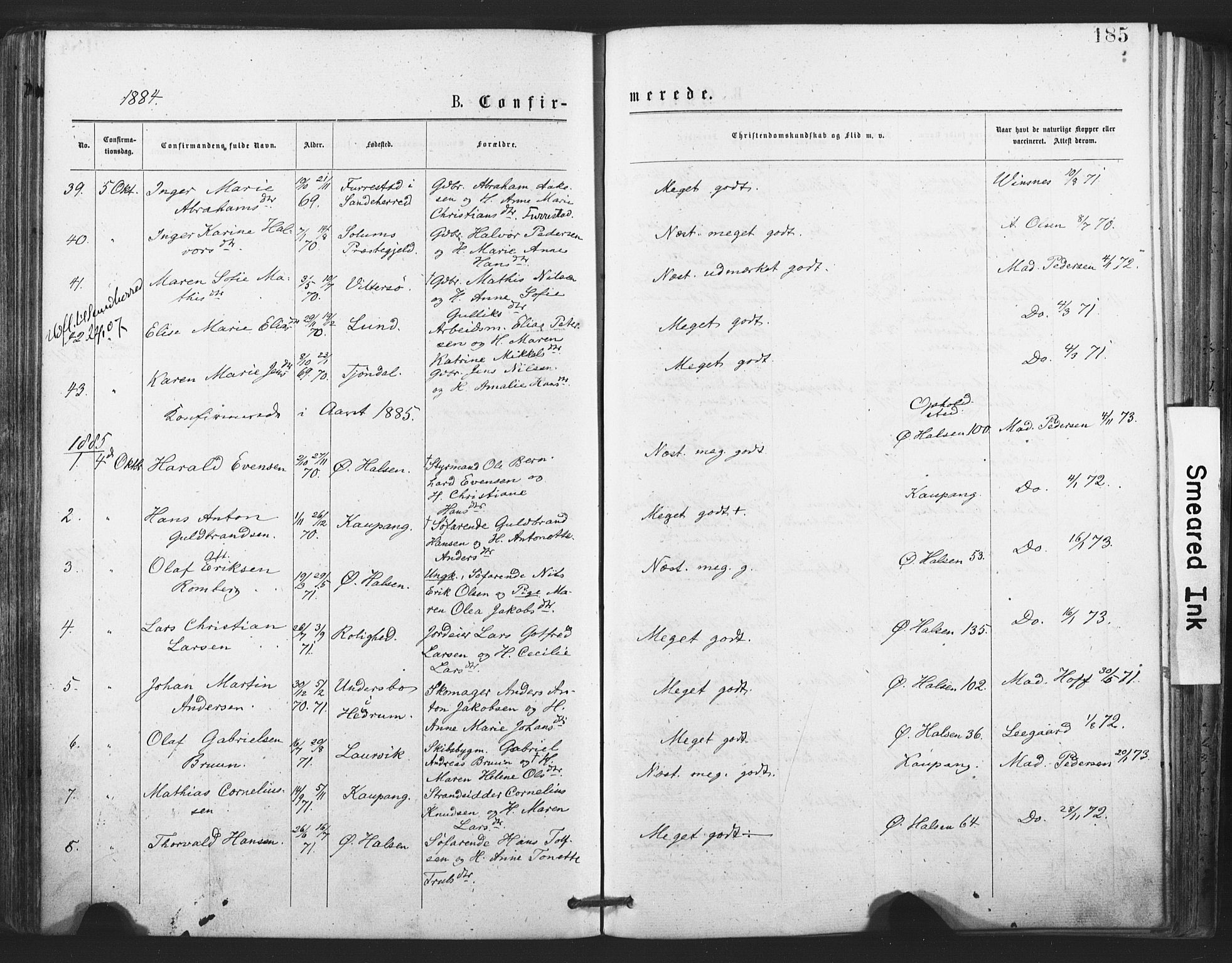 Tjølling kirkebøker, SAKO/A-60/F/Fa/L0008: Parish register (official) no. 8, 1877-1886, p. 185