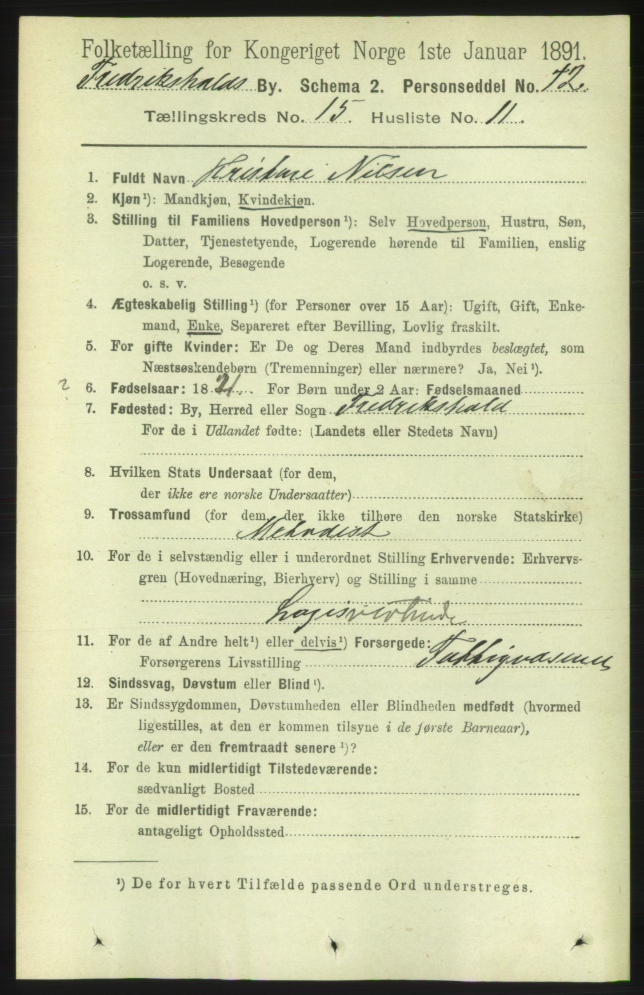 RA, 1891 census for 0101 Fredrikshald, 1891, p. 9560