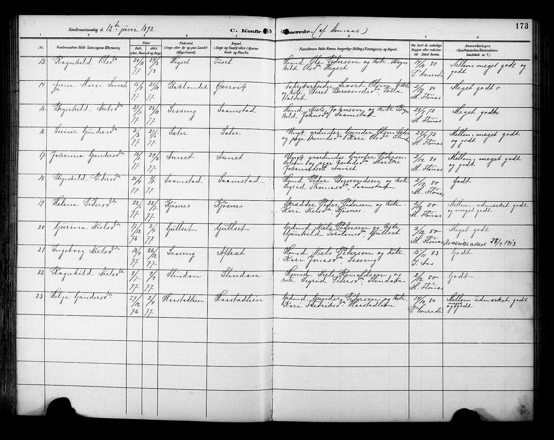 Ministerialprotokoller, klokkerbøker og fødselsregistre - Sør-Trøndelag, AV/SAT-A-1456/695/L1149: Parish register (official) no. 695A09, 1891-1902, p. 173