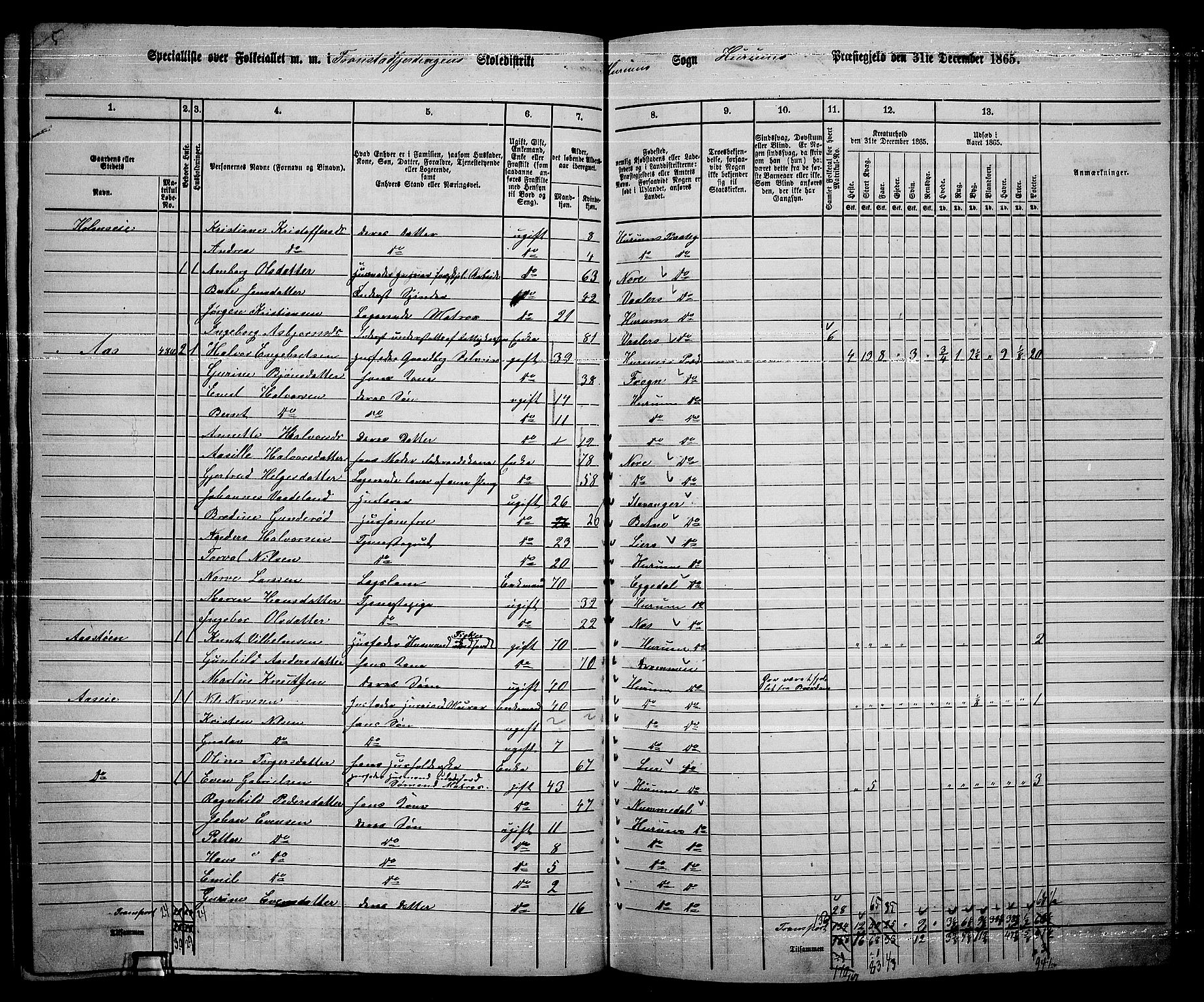 RA, 1865 census for Hurum, 1865, p. 33