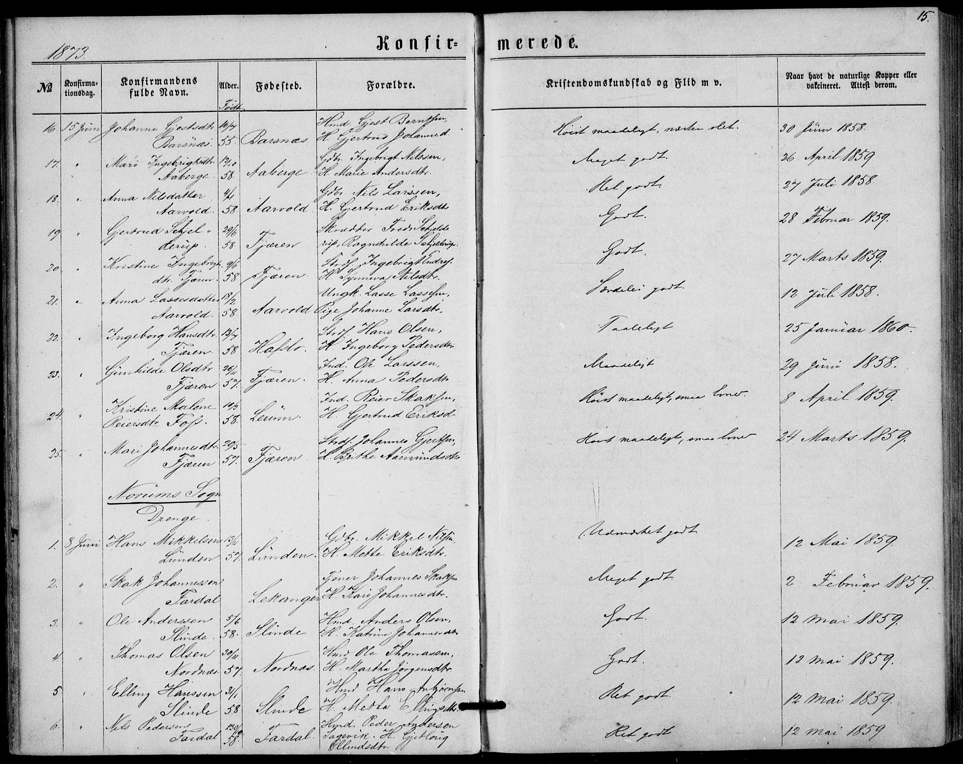 Sogndal sokneprestembete, SAB/A-81301/H/Haa/Haaa/L0015: Parish register (official) no. A 15, 1871-1904, p. 15