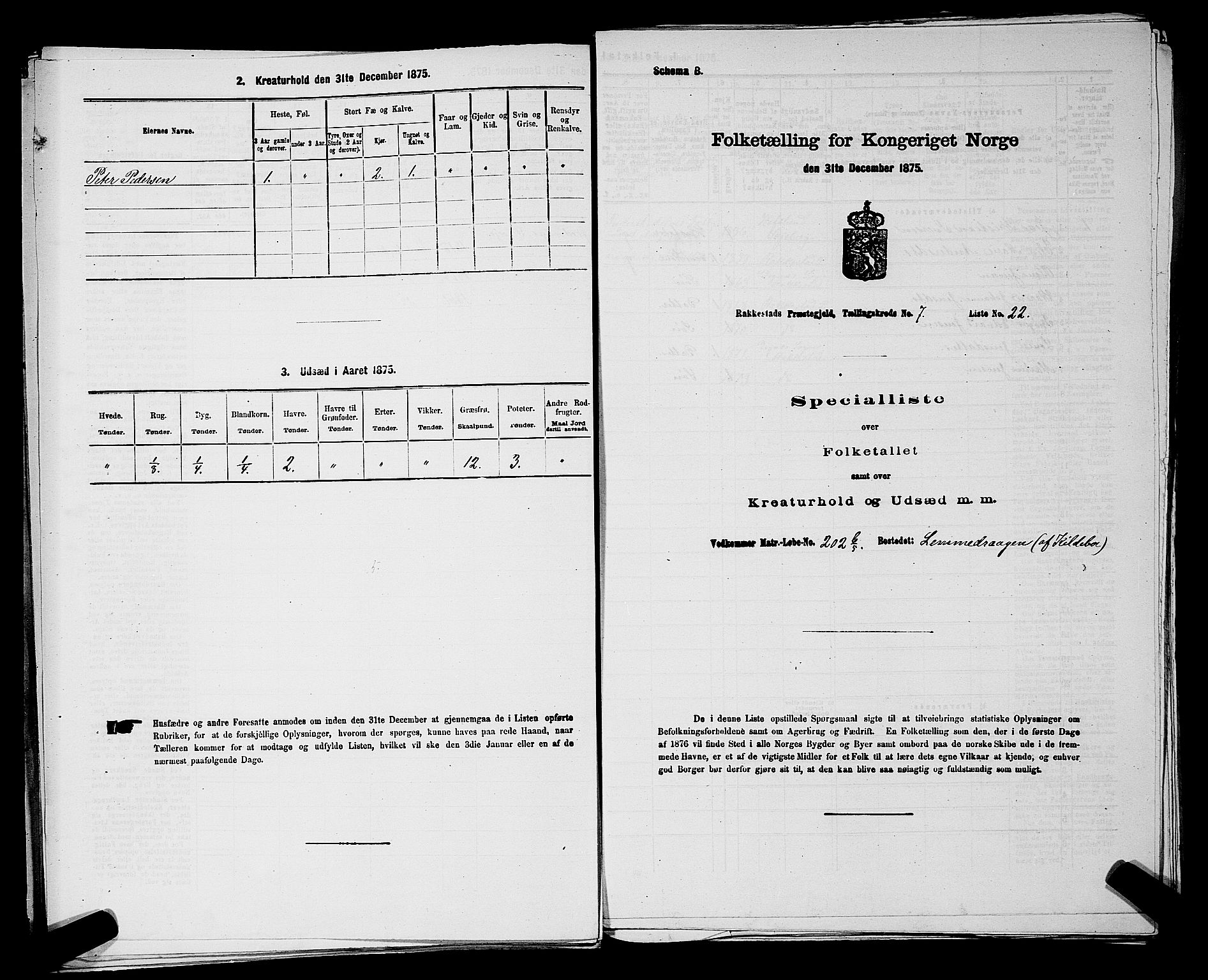 RA, 1875 census for 0128P Rakkestad, 1875, p. 790