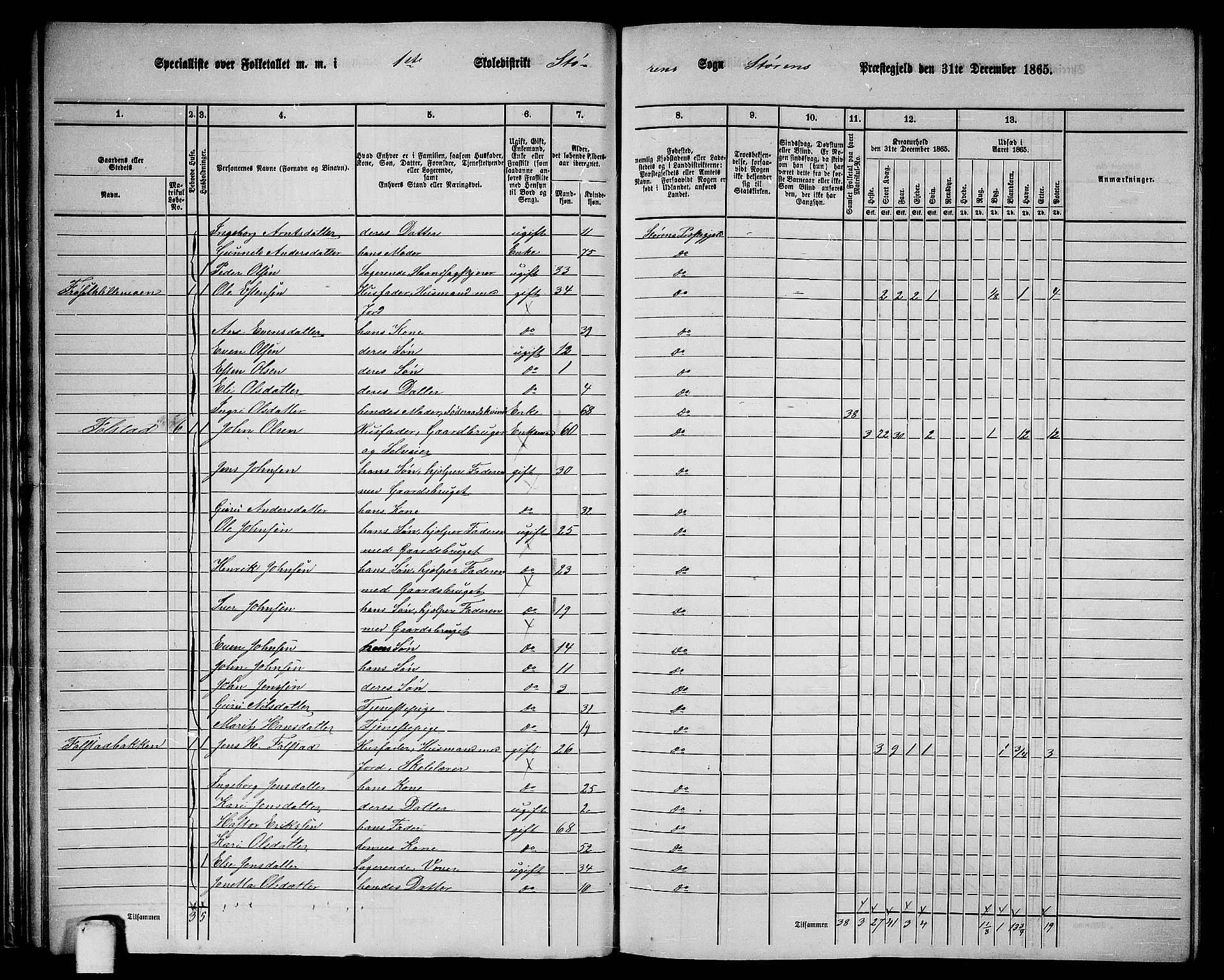 RA, 1865 census for Støren, 1865, p. 31