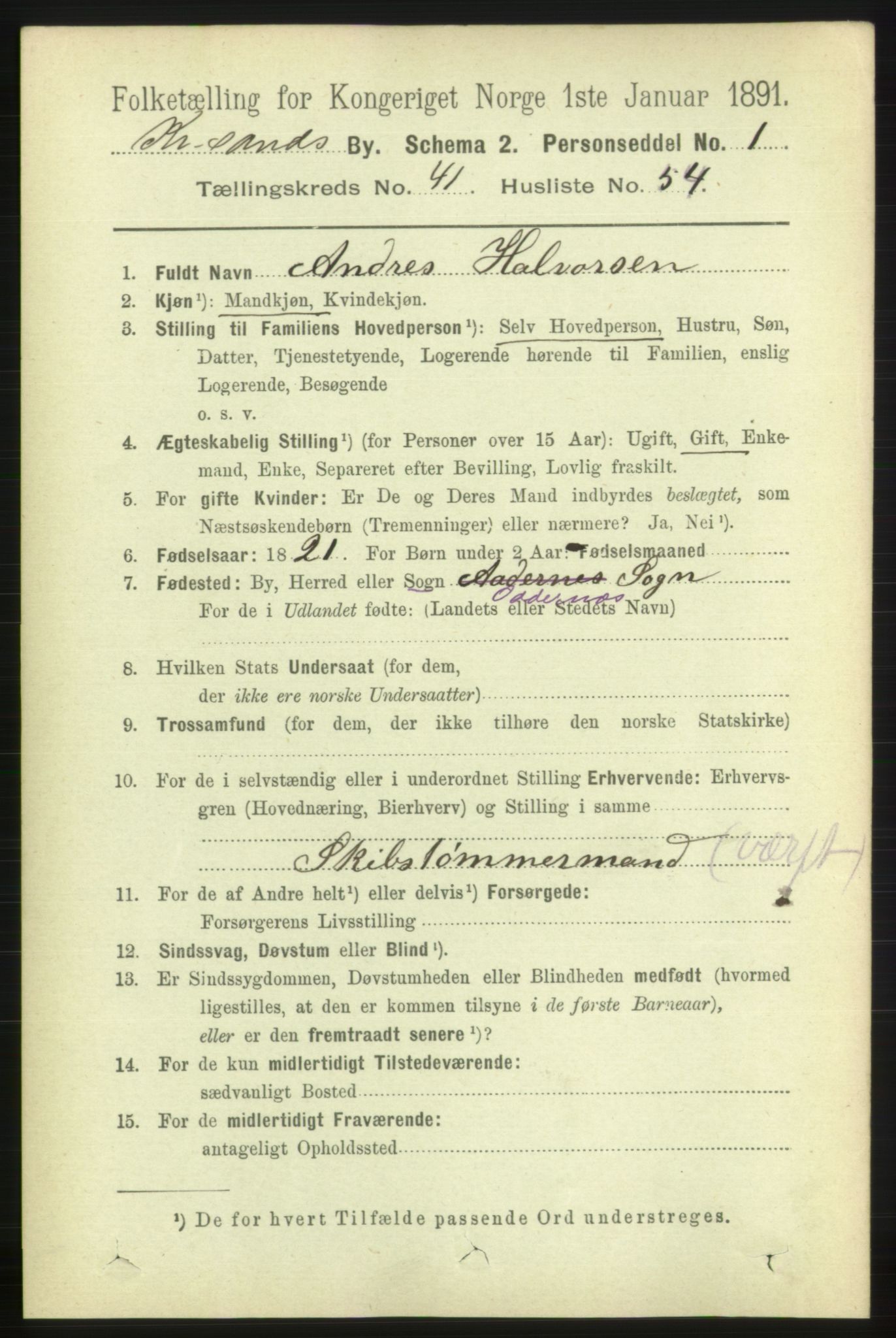 RA, 1891 census for 1001 Kristiansand, 1891, p. 13061