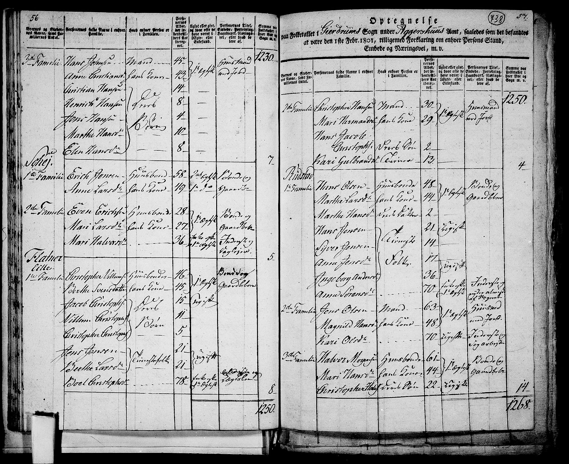 RA, 1801 census for 0234P Gjerdrum, 1801, p. 737b-738a