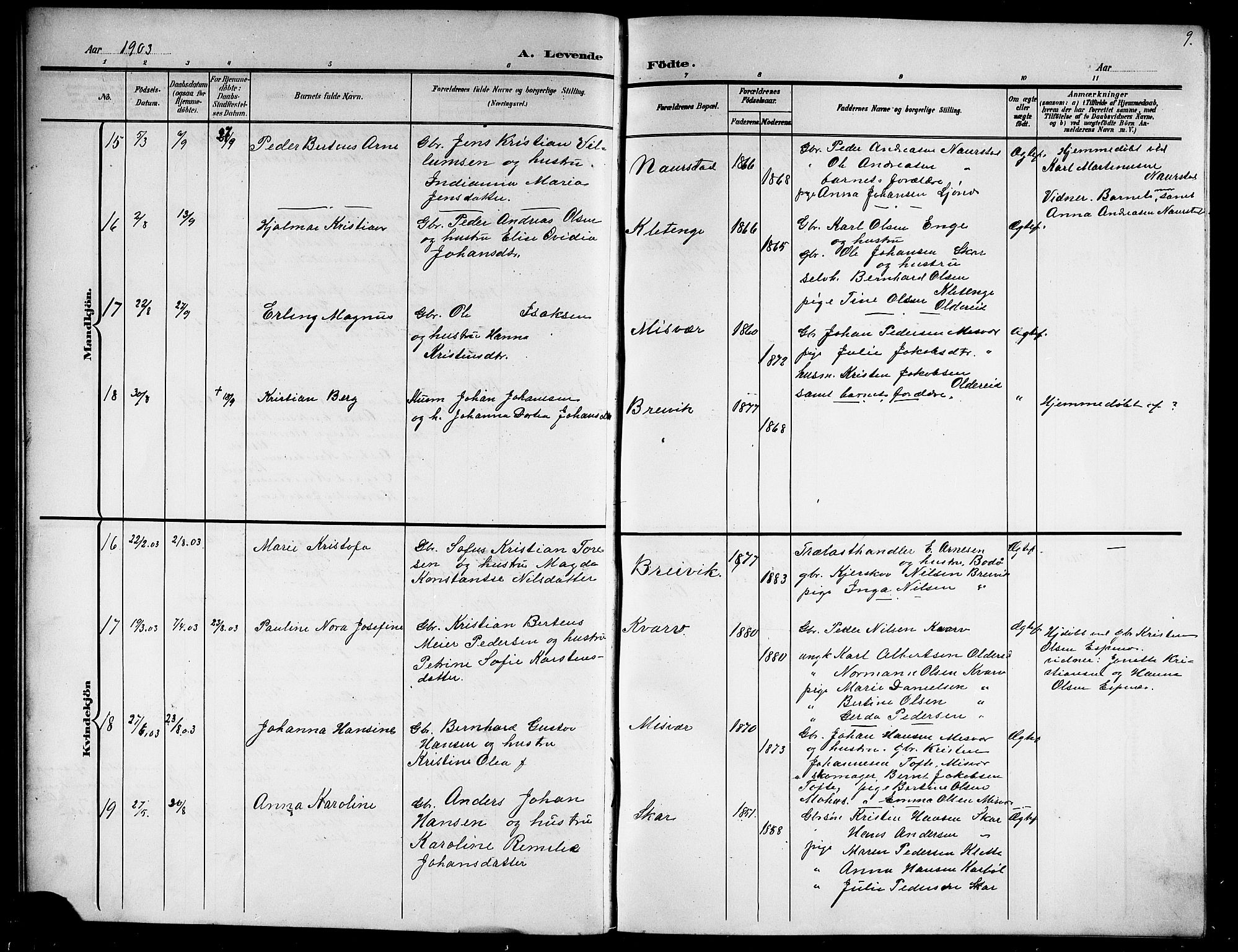 Ministerialprotokoller, klokkerbøker og fødselsregistre - Nordland, AV/SAT-A-1459/852/L0756: Parish register (copy) no. 852C07, 1902-1916, p. 9