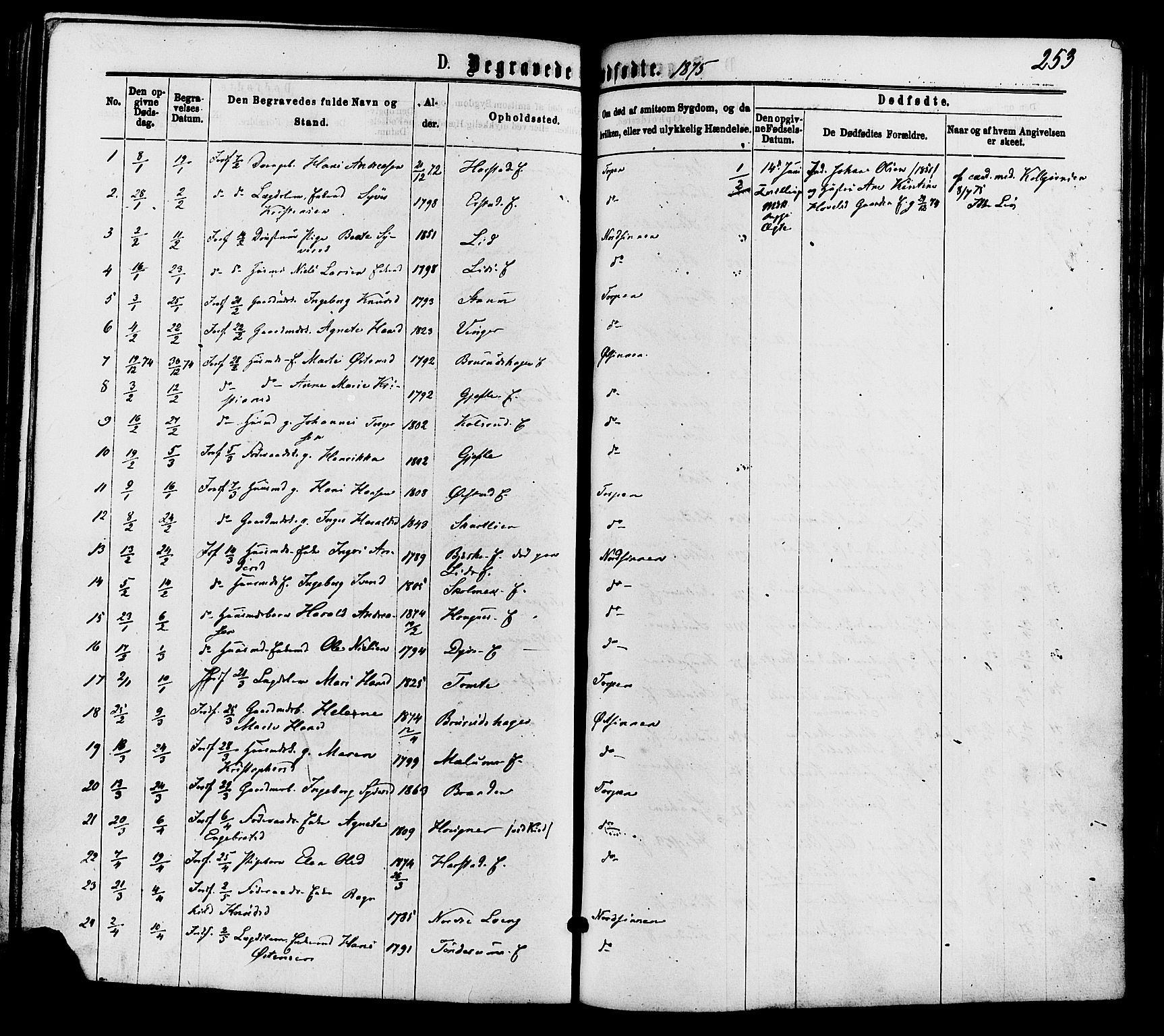 Nordre Land prestekontor, AV/SAH-PREST-124/H/Ha/Haa/L0002: Parish register (official) no. 2, 1872-1881, p. 253