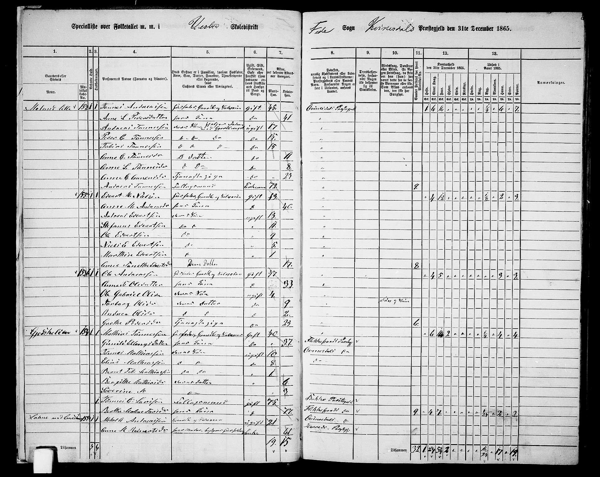 RA, 1865 census for Kvinesdal, 1865, p. 20