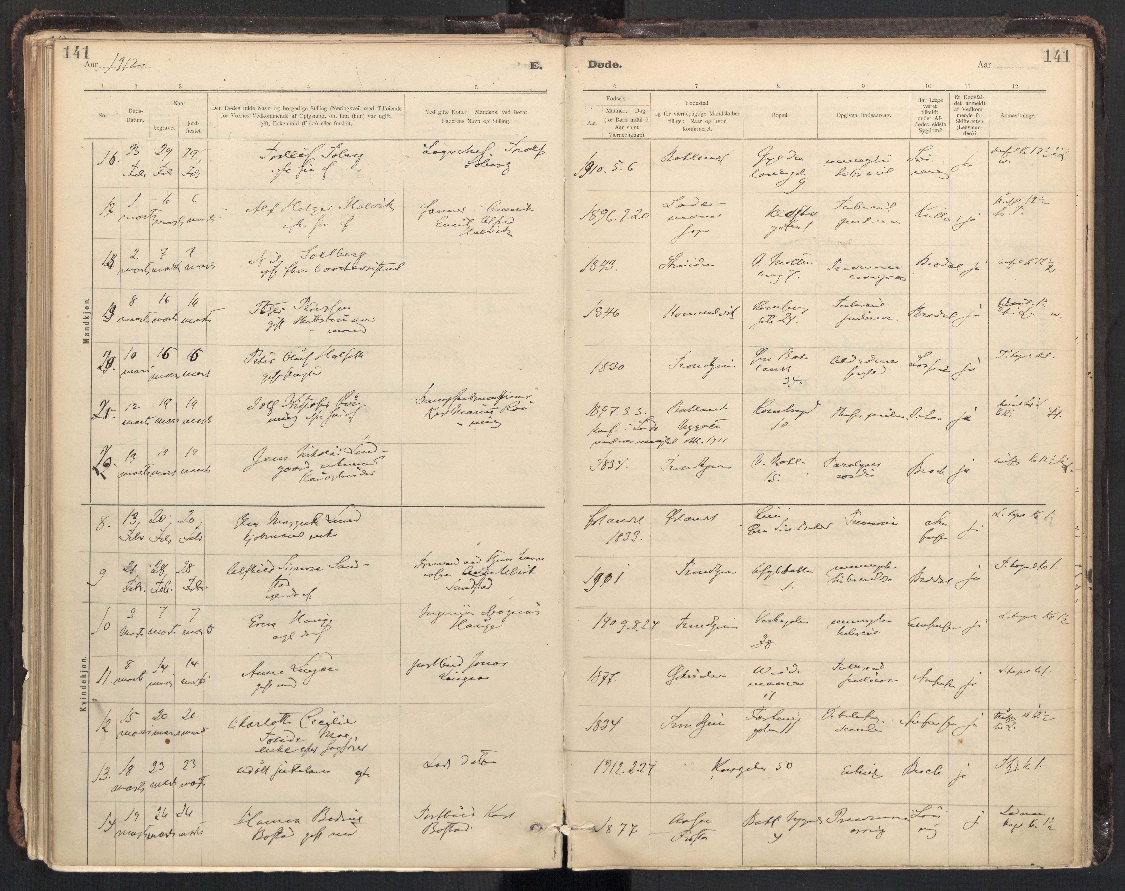 Ministerialprotokoller, klokkerbøker og fødselsregistre - Sør-Trøndelag, SAT/A-1456/604/L0204: Parish register (official) no. 604A24, 1911-1920, p. 141