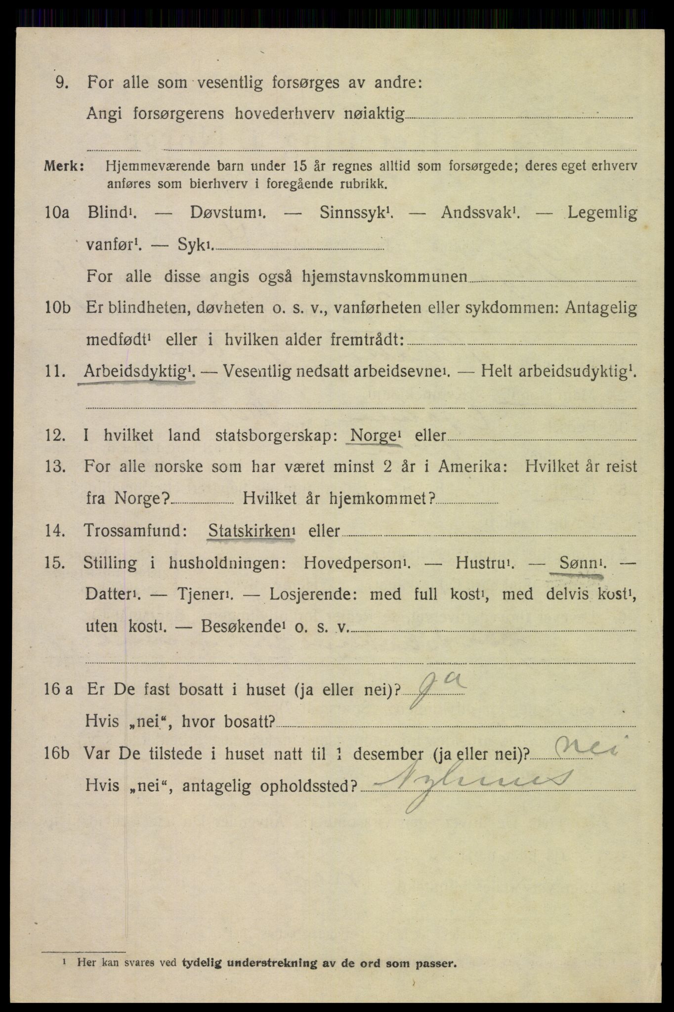SAH, 1920 census for Trysil, 1920, p. 14118