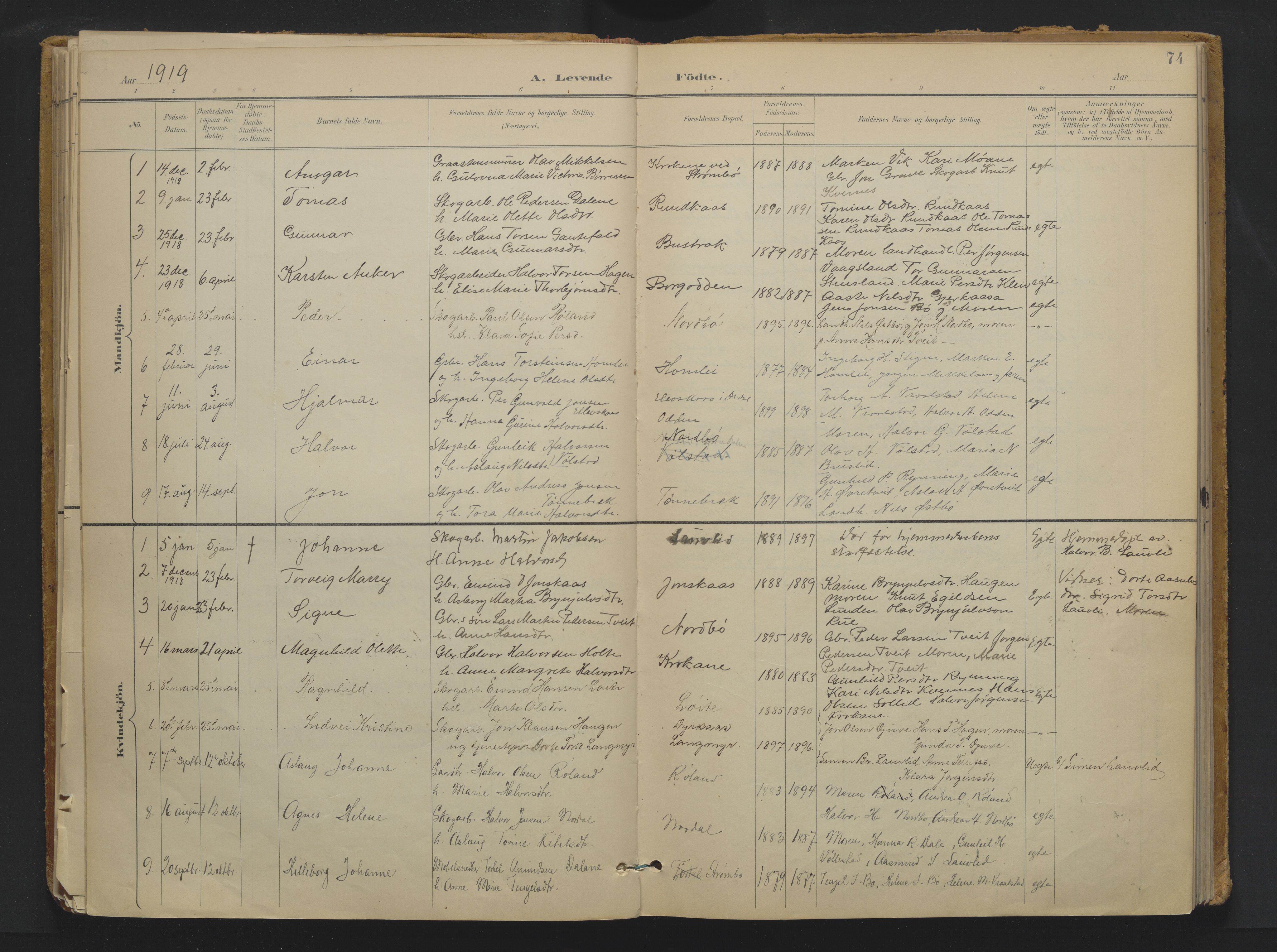 Drangedal kirkebøker, SAKO/A-258/F/Fa/L0013: Parish register (official) no. 13, 1895-1919, p. 74