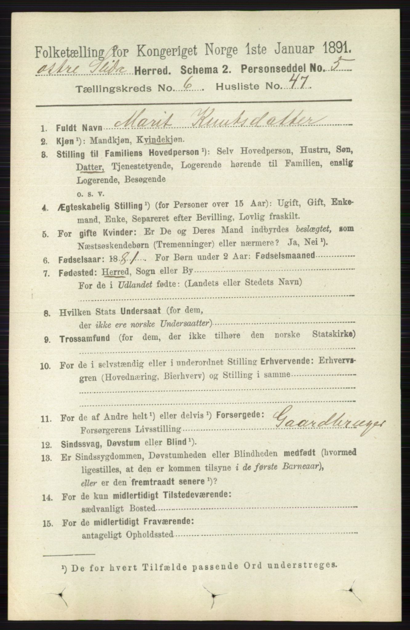 RA, 1891 census for 0544 Øystre Slidre, 1891, p. 2049