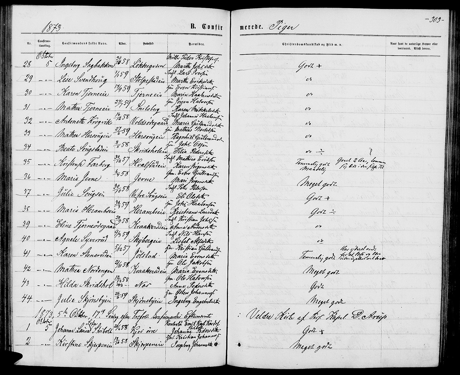 Ringsaker prestekontor, AV/SAH-PREST-014/L/La/L0008: Parish register (copy) no. 8, 1870-1878, p. 303