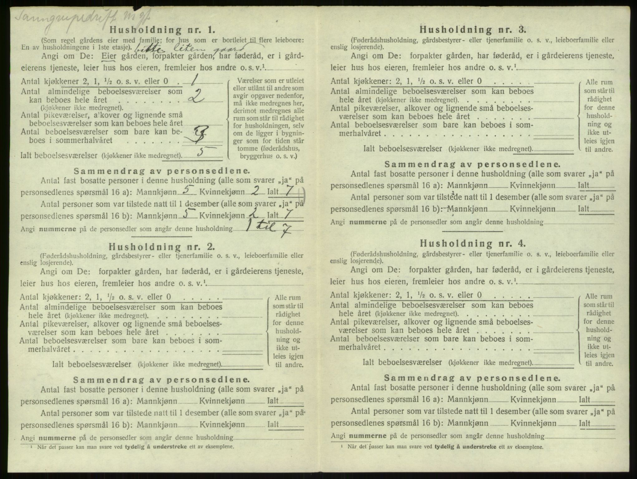 SAB, 1920 census for Bruvik, 1920, p. 1058