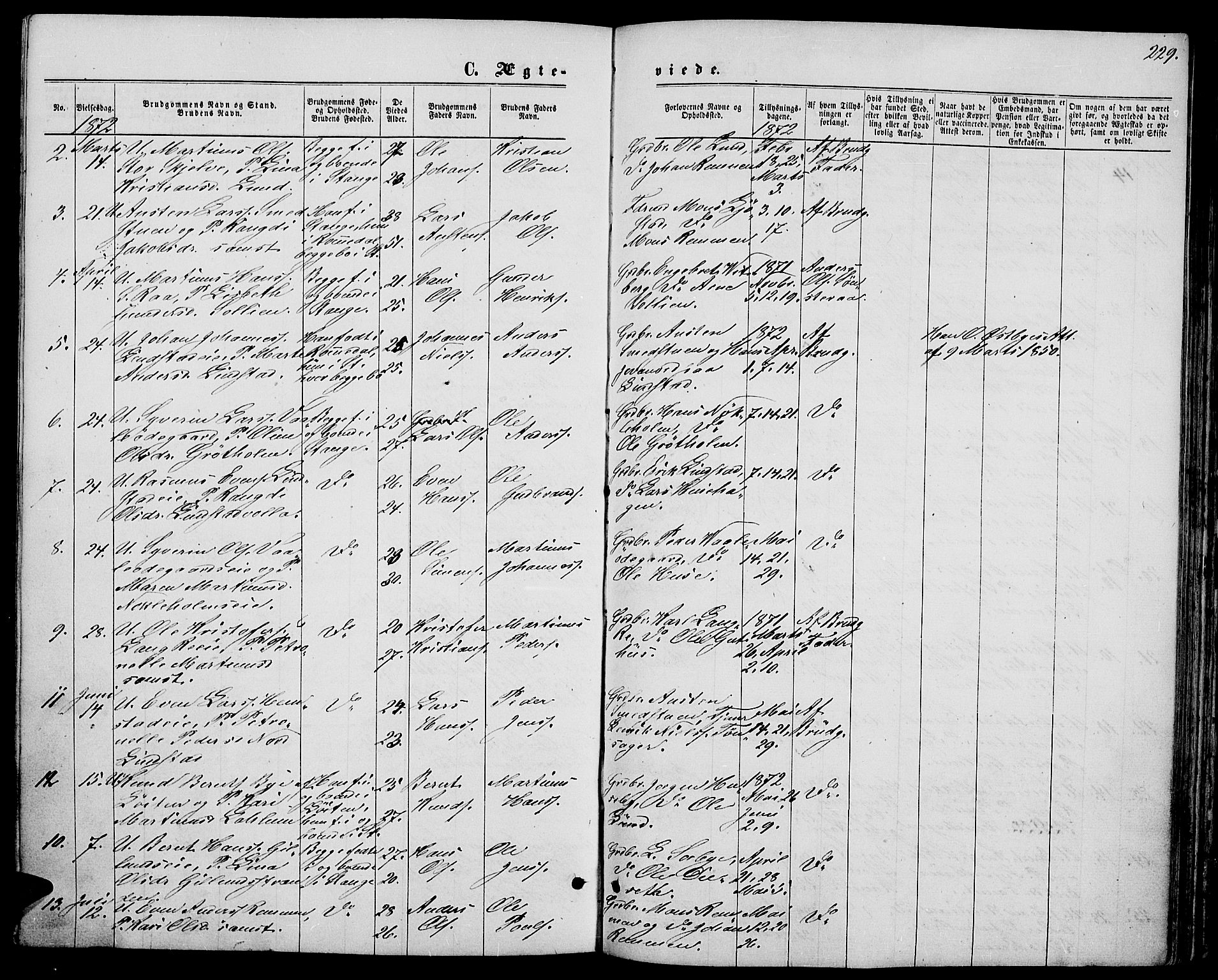 Stange prestekontor, AV/SAH-PREST-002/L/L0006: Parish register (copy) no. 6, 1864-1882, p. 229