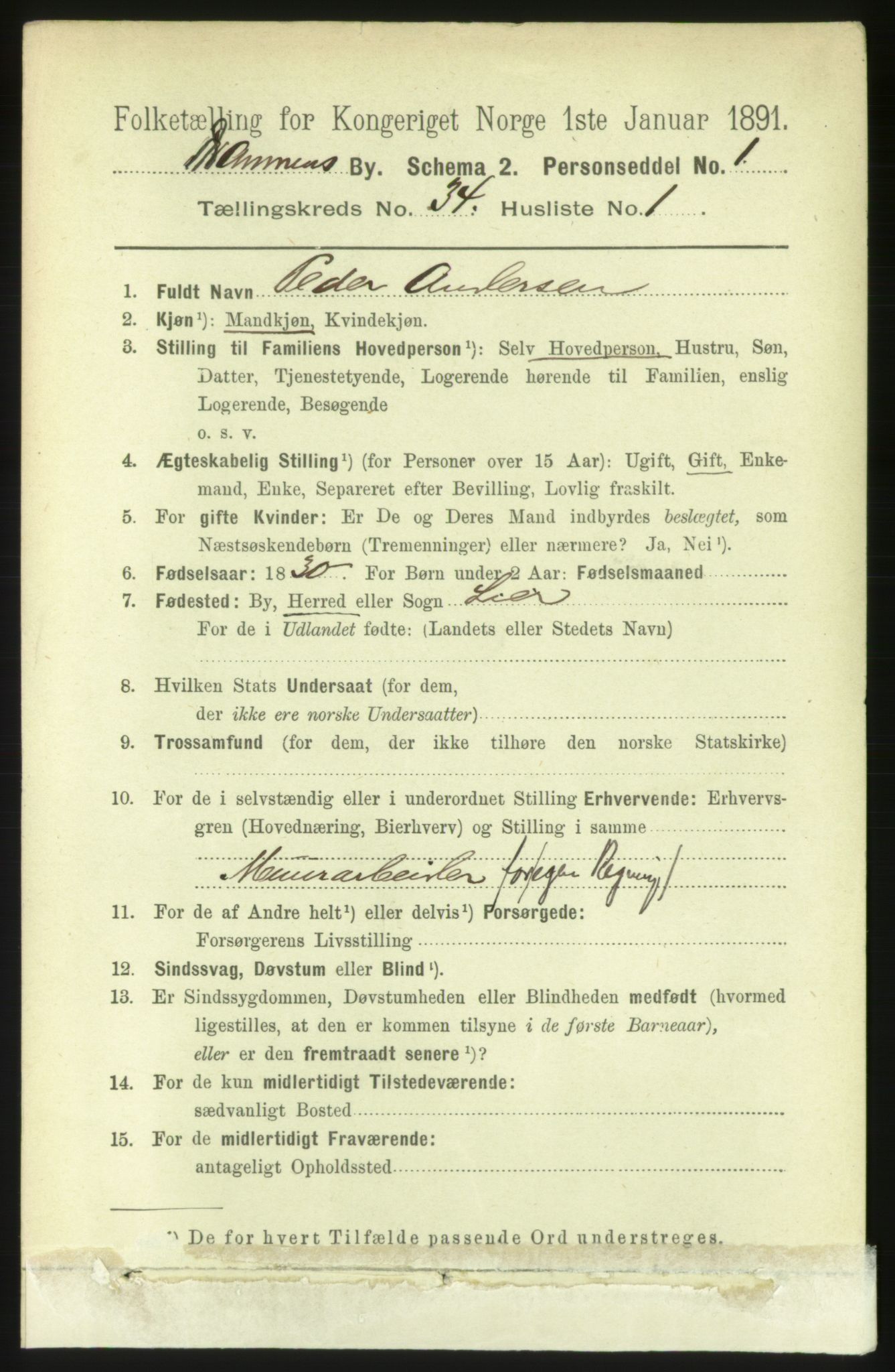 RA, 1891 census for 0602 Drammen, 1891, p. 20650