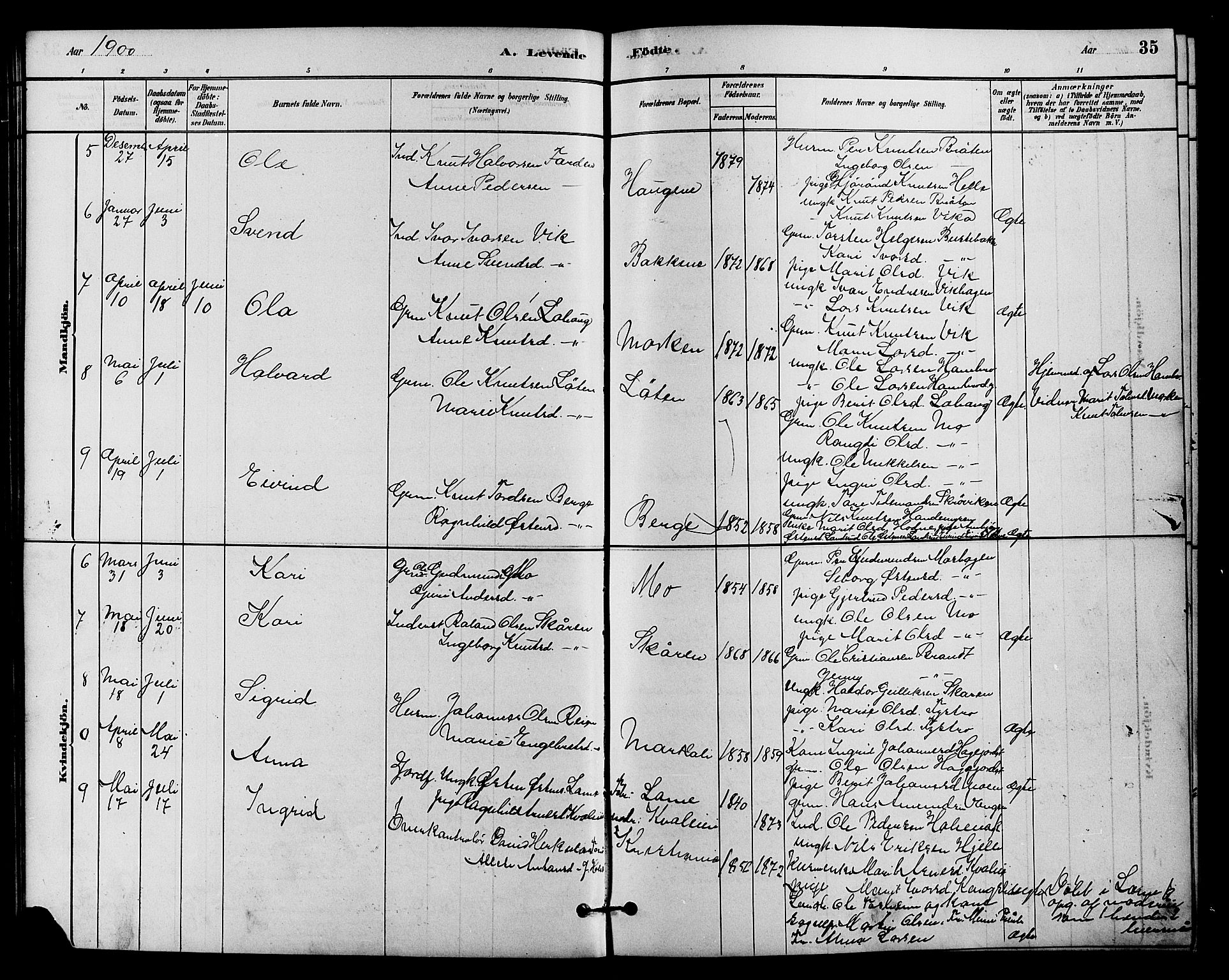 Vestre Slidre prestekontor, SAH/PREST-136/H/Ha/Hab/L0004: Parish register (copy) no. 4, 1881-1912, p. 35