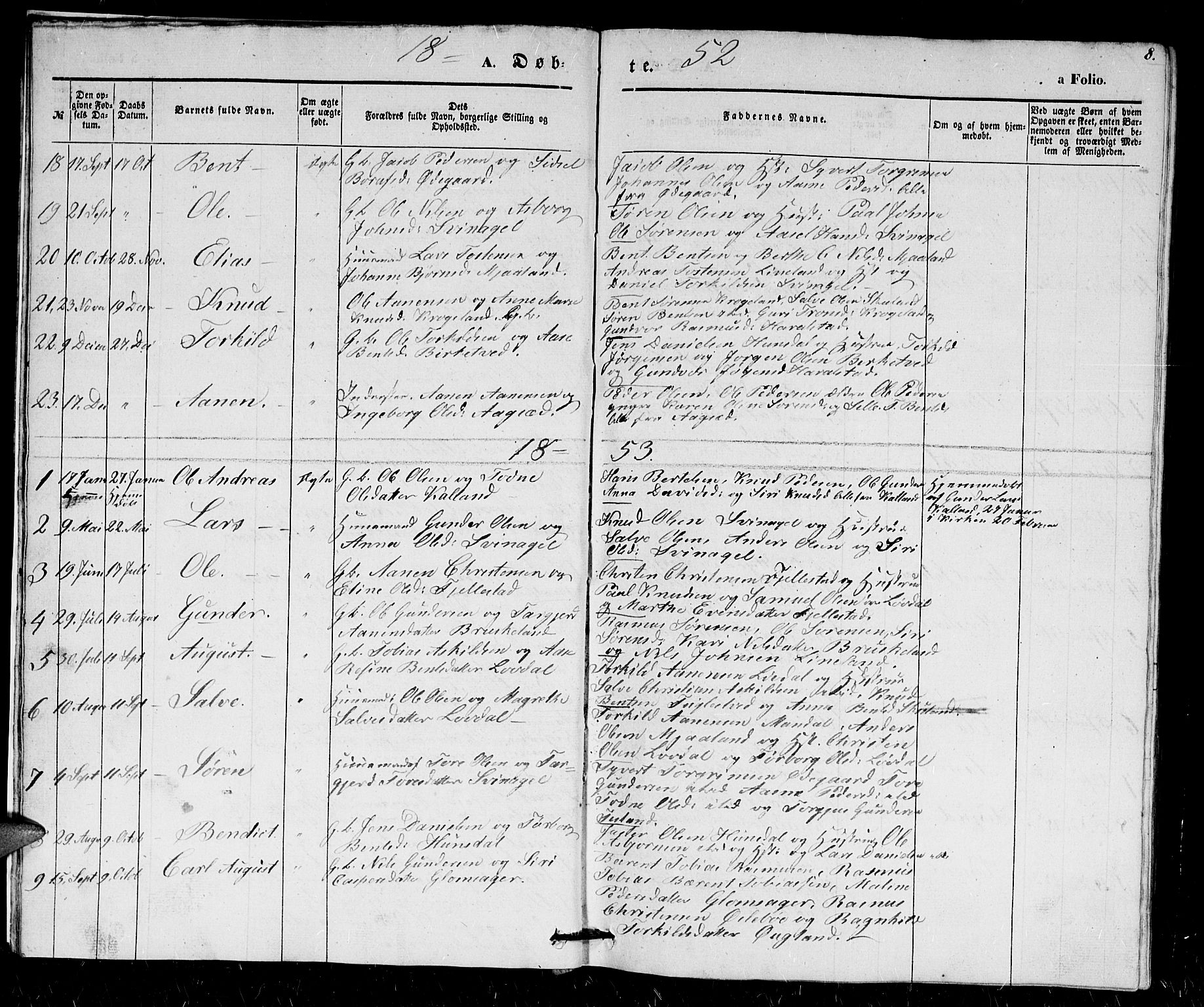 Holum sokneprestkontor, AV/SAK-1111-0022/F/Fb/Fbb/L0002: Parish register (copy) no. B 2, 1847-1874, p. 8