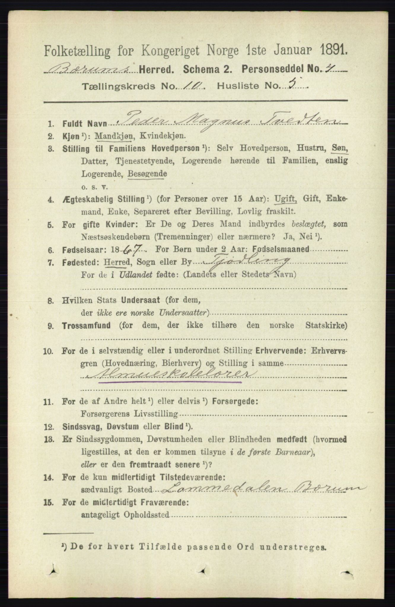 RA, 1891 census for 0219 Bærum, 1891, p. 6393