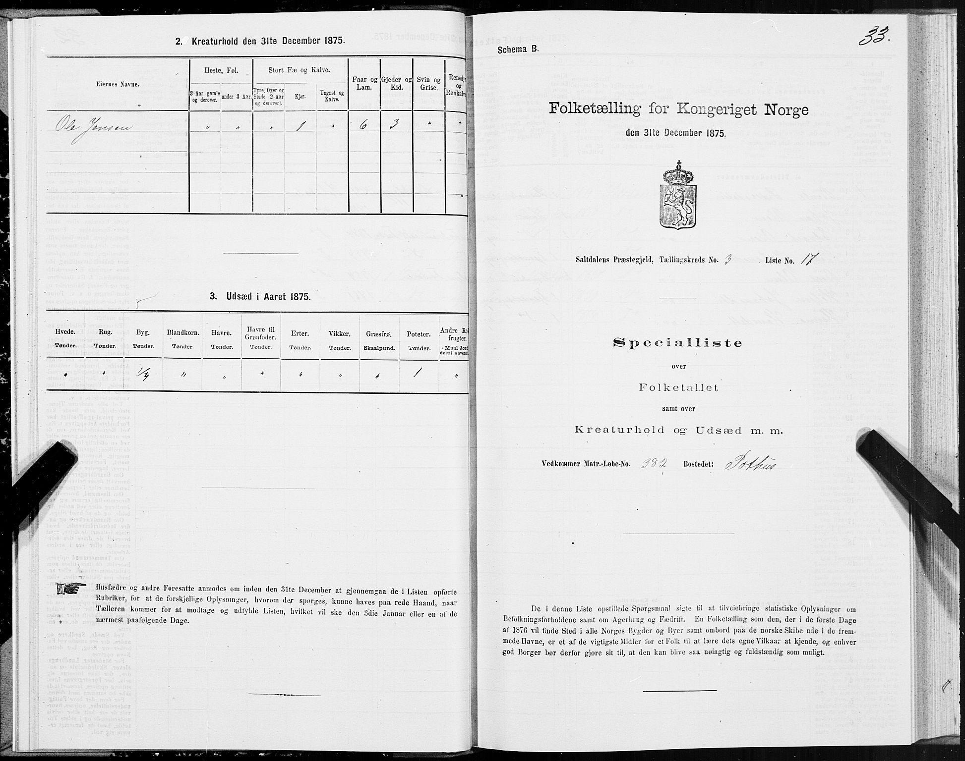 SAT, 1875 census for 1840P Saltdal, 1875, p. 2033