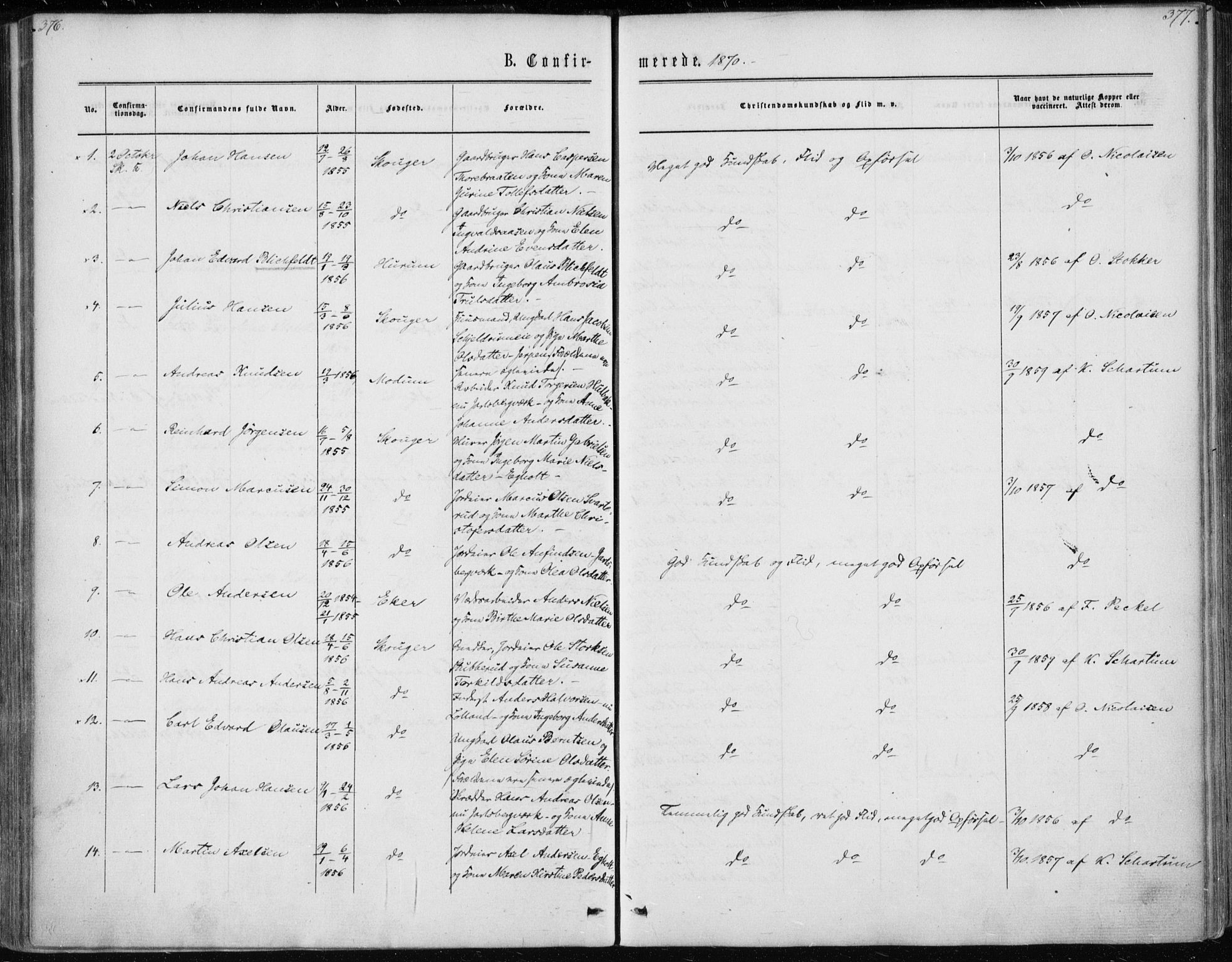 Skoger kirkebøker, AV/SAKO-A-59/F/Fa/L0004: Parish register (official) no. I 4, 1862-1872, p. 376-377