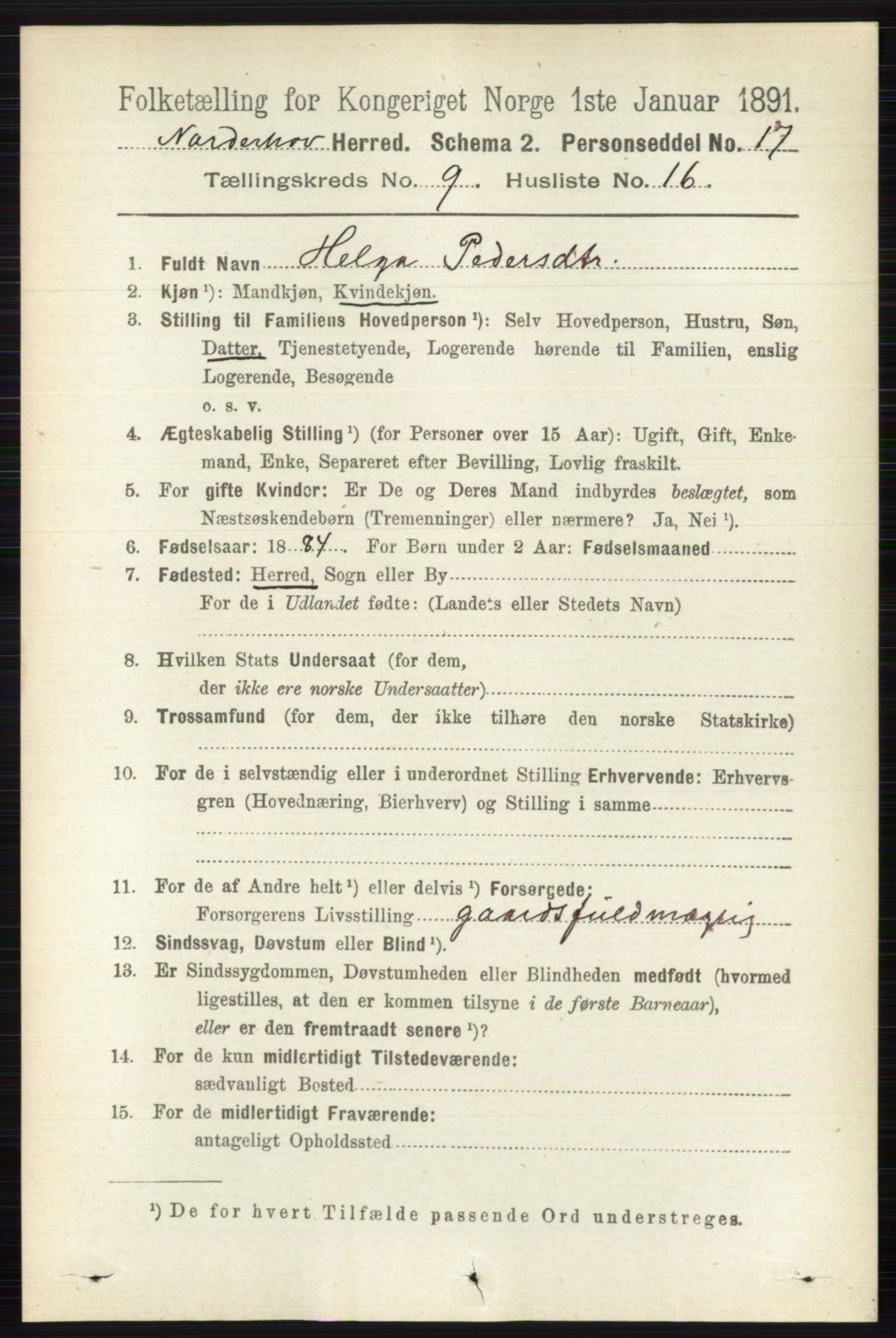 RA, 1891 census for 0613 Norderhov, 1891, p. 6702