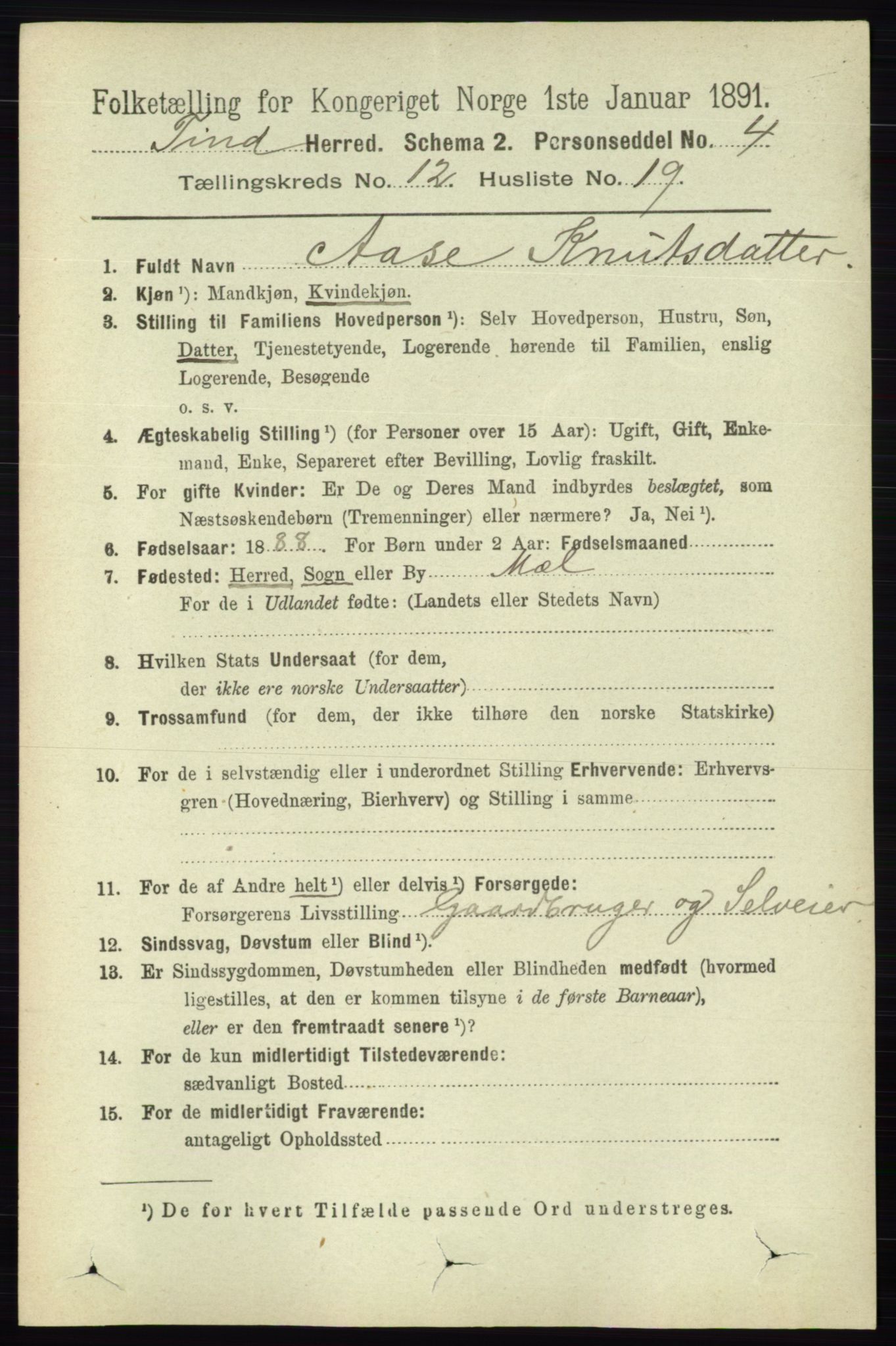 RA, 1891 census for 0826 Tinn, 1891, p. 2412