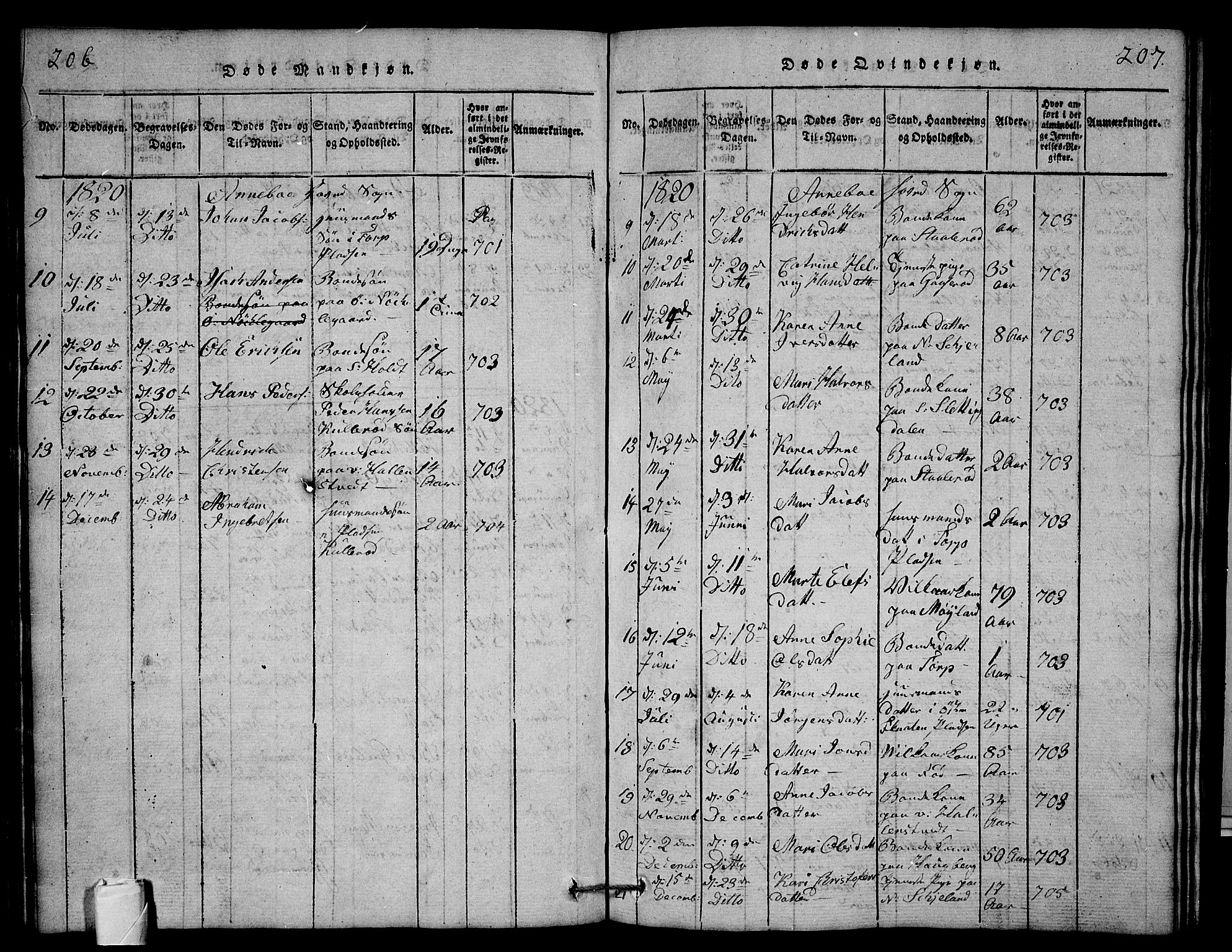 Andebu kirkebøker, AV/SAKO-A-336/G/Ga/L0001: Parish register (copy) no. I 1 /1, 1815-1823, p. 206-207