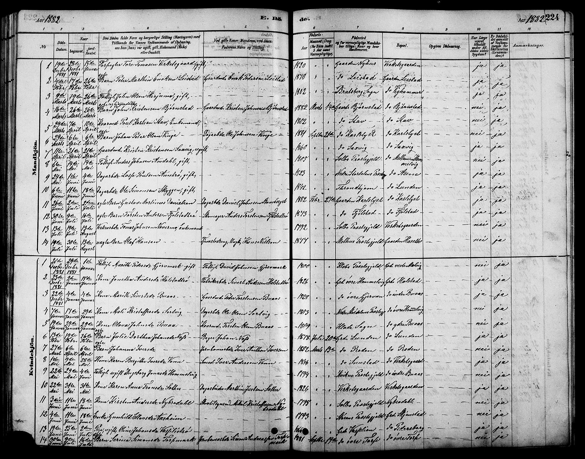 Ministerialprotokoller, klokkerbøker og fødselsregistre - Sør-Trøndelag, SAT/A-1456/616/L0423: Parish register (copy) no. 616C06, 1878-1903, p. 224