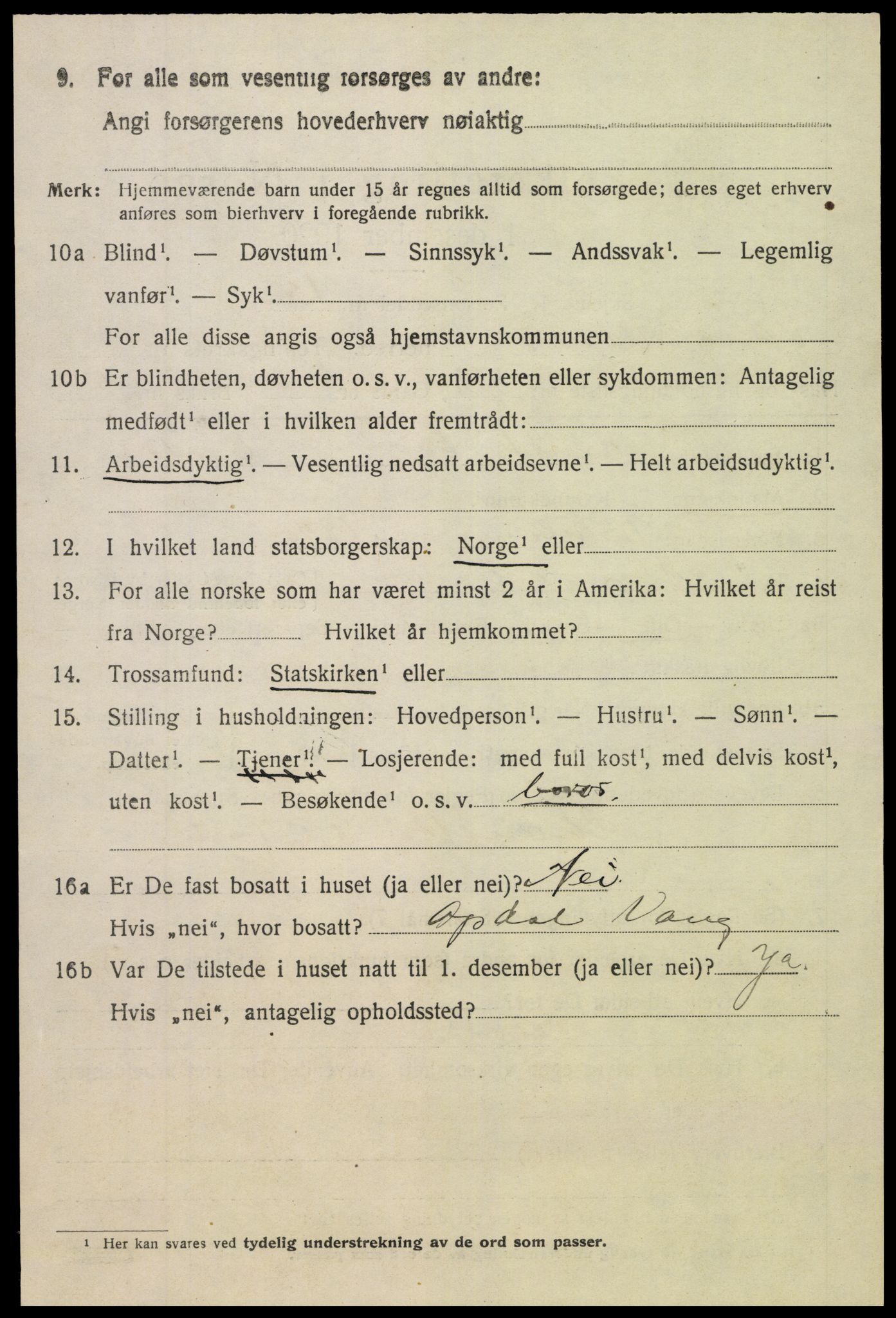 SAH, 1920 census for Vang (Oppland), 1920, p. 1072