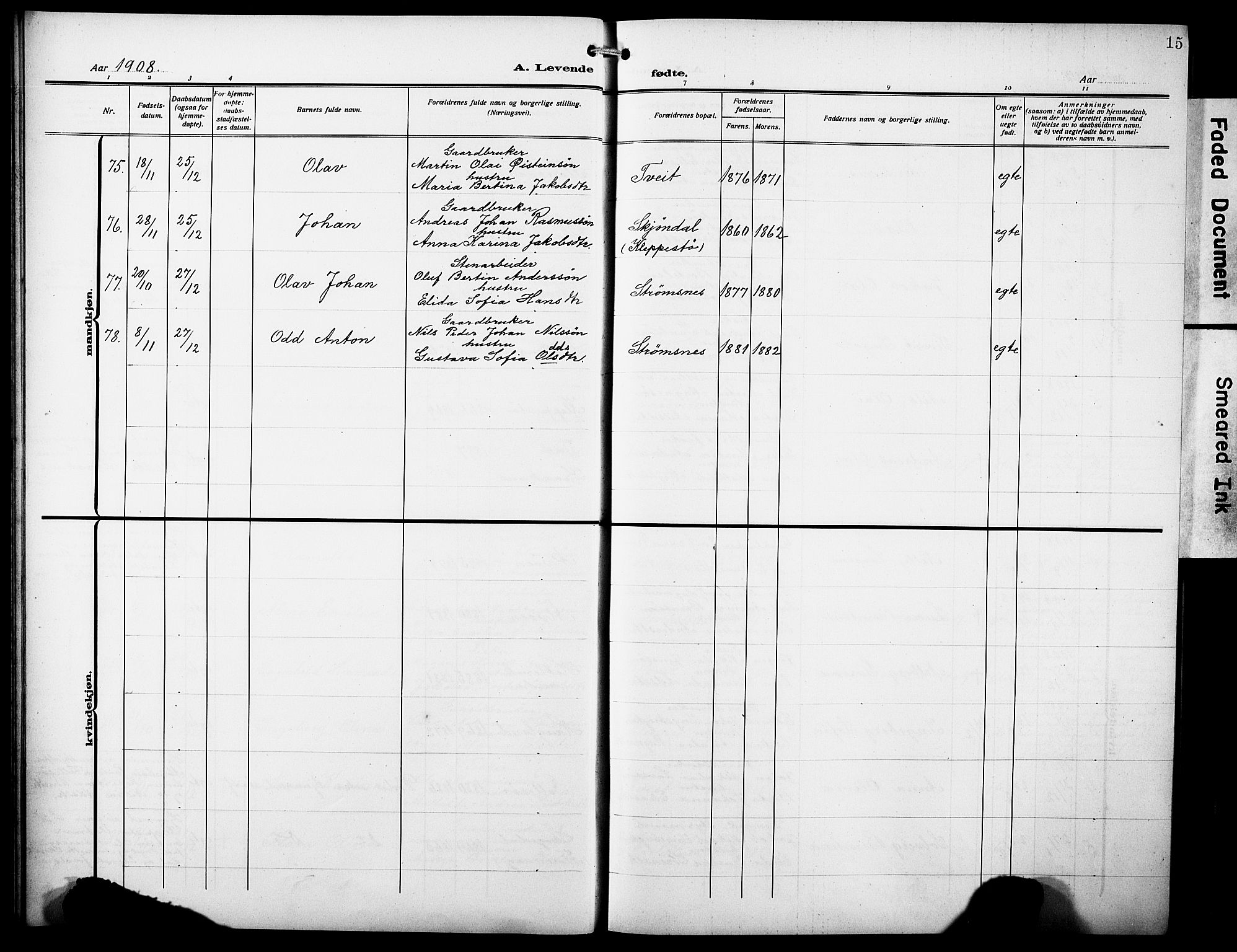 Askøy Sokneprestembete, AV/SAB-A-74101/H/Ha/Hab/Haba/L0011: Parish register (copy) no. A 11, 1908-1931, p. 15