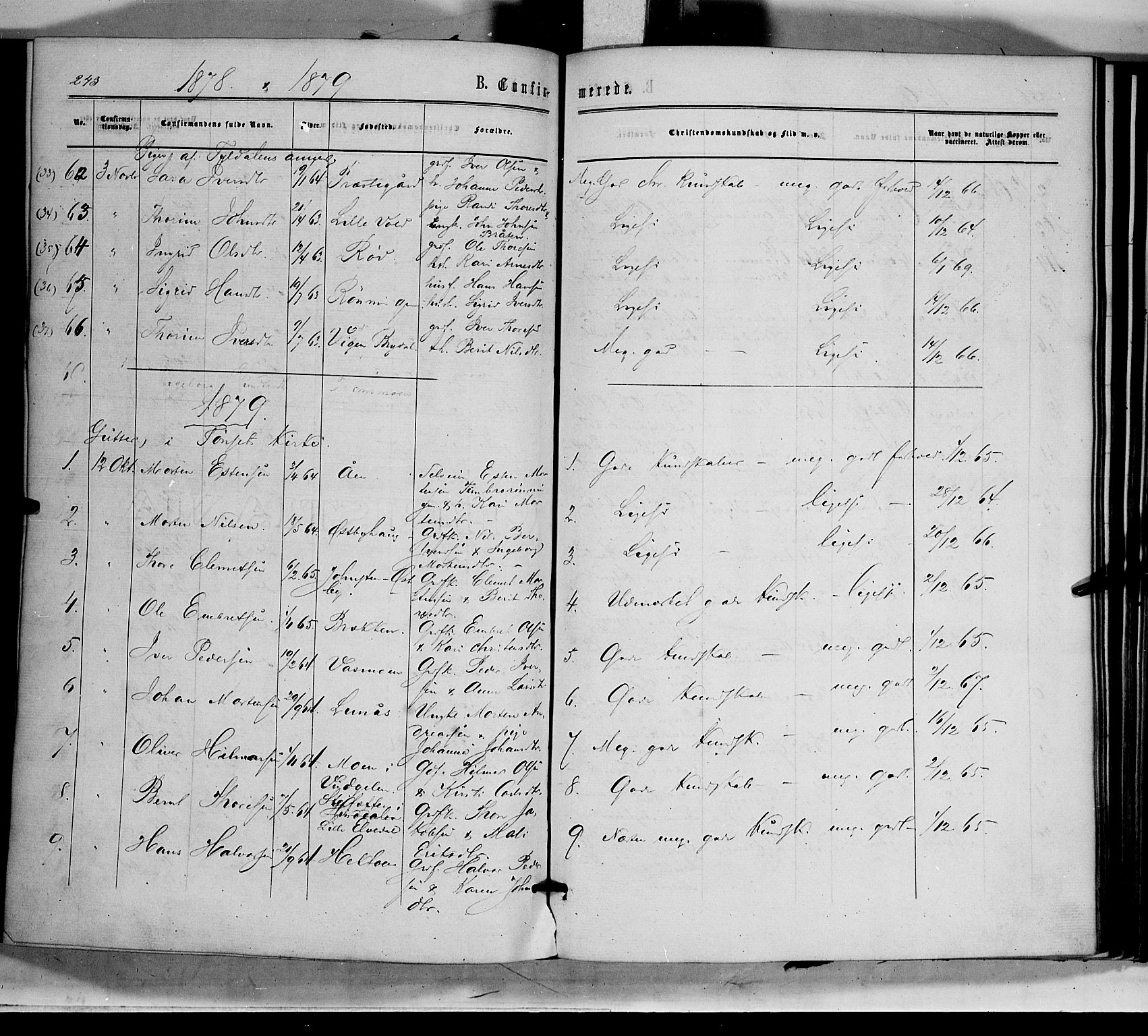 Tynset prestekontor, AV/SAH-PREST-058/H/Ha/Haa/L0021: Parish register (official) no. 21, 1863-1879, p. 243