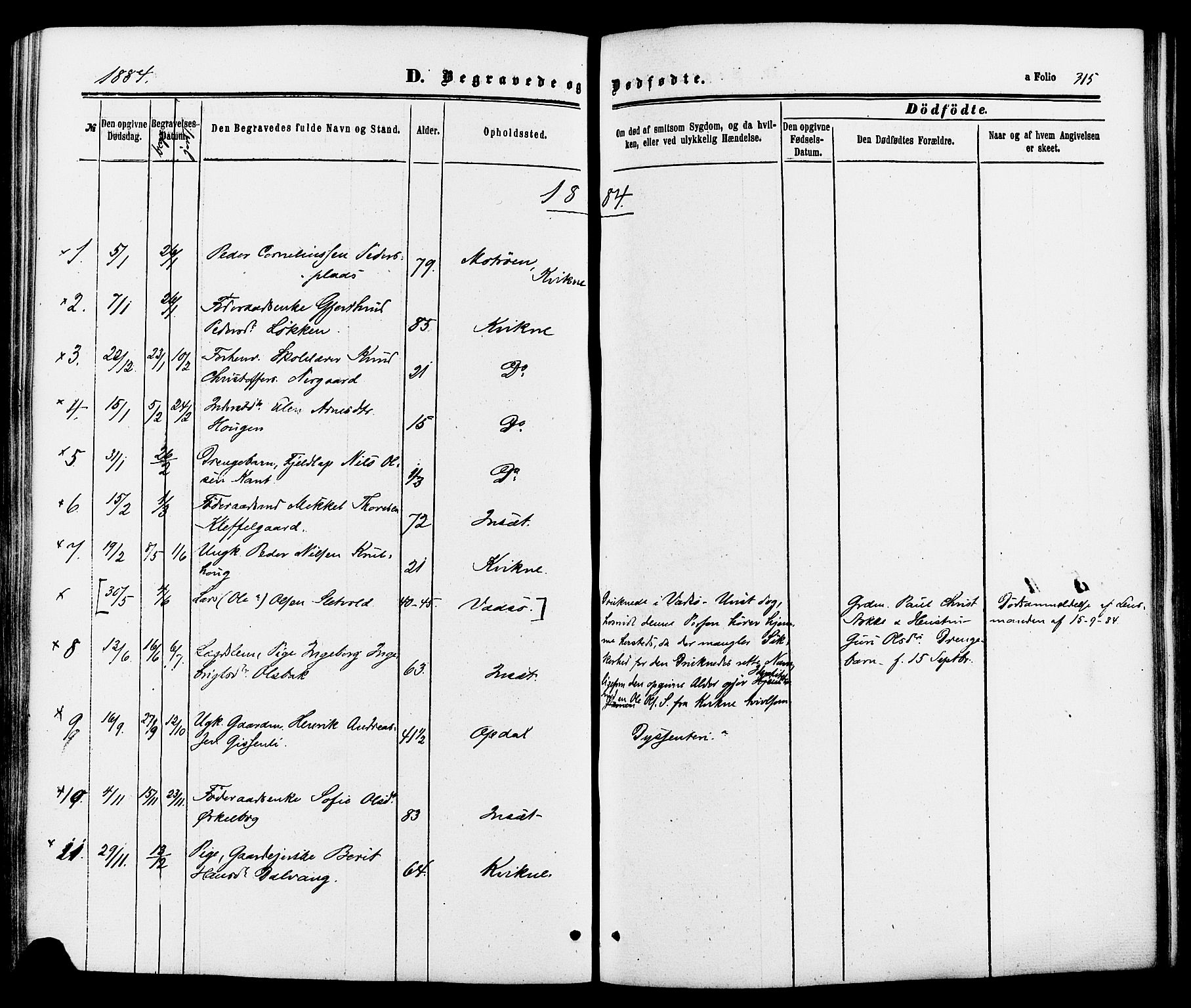 Kvikne prestekontor, SAH/PREST-064/H/Ha/Haa/L0006: Parish register (official) no. 6, 1863-1886, p. 315